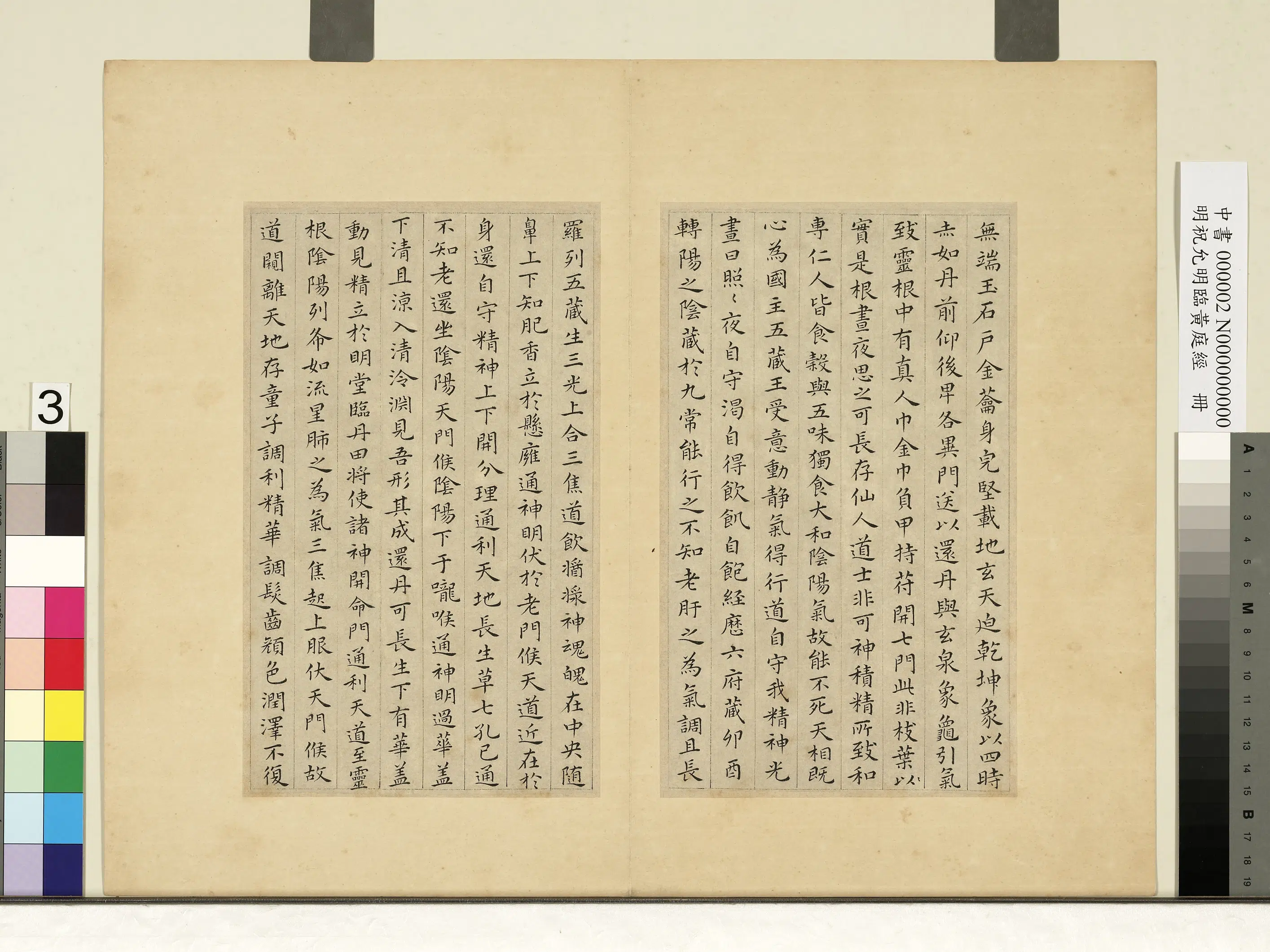 明朝【祝允明】《临黄庭经册》 第3张 明朝【祝允明】《临黄庭经册》 第3张