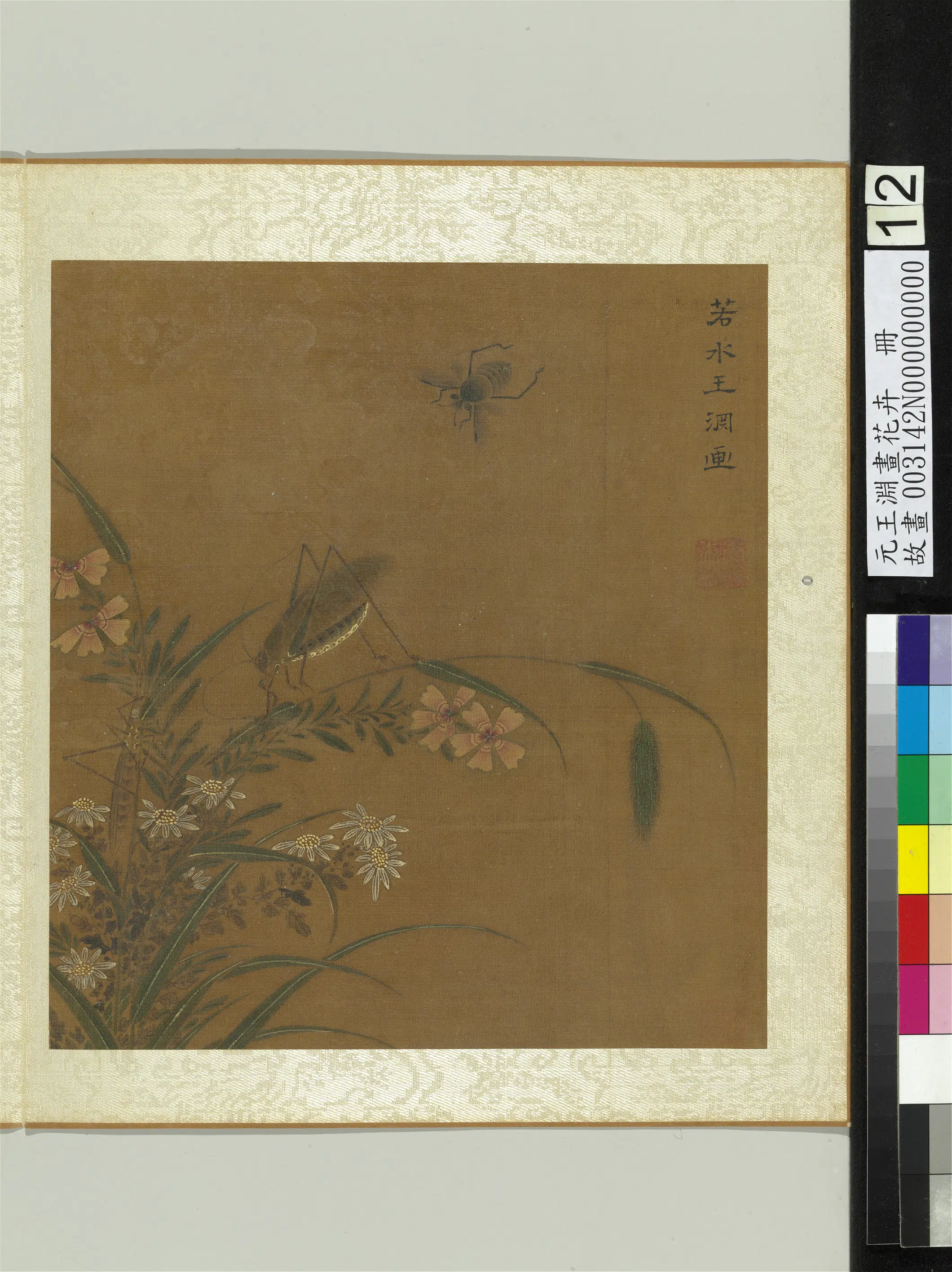 元朝【王渊】《画花卉册-菊石竹》