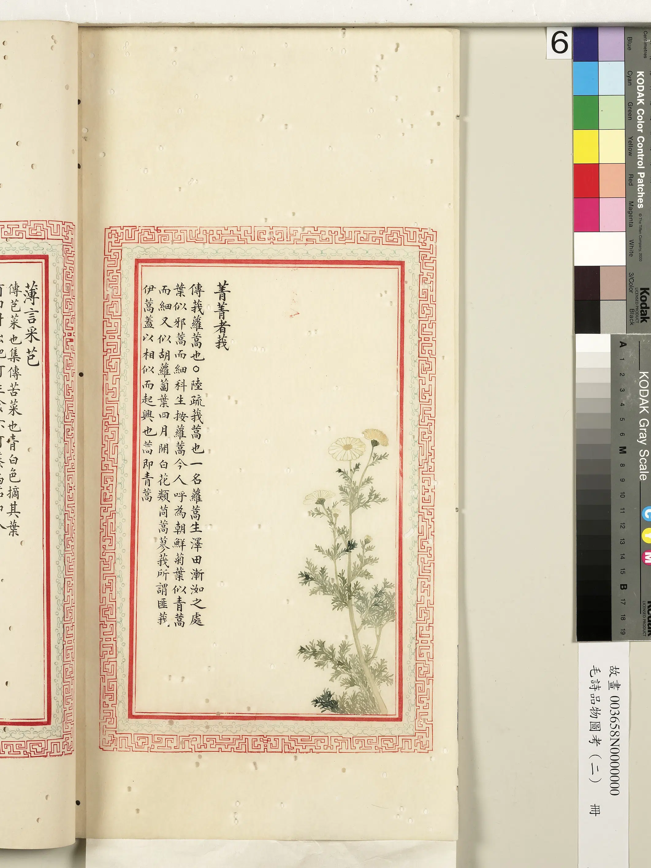 清代《毛诗品物图考（二）册-2》 第45张