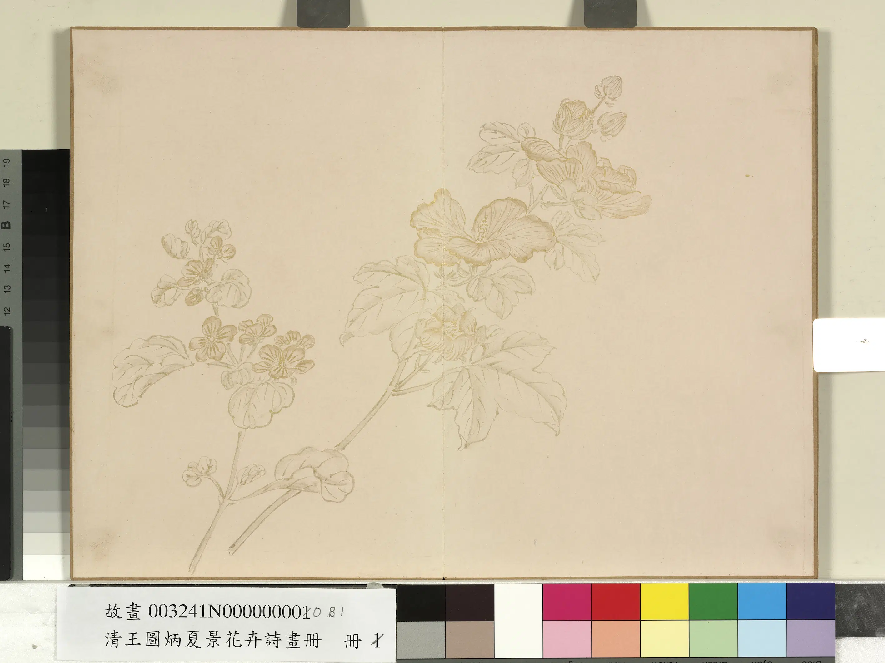 清代【王图炳】《夏景花卉诗画册》 第3张 清代【王图炳】《夏景花卉诗画册》 第3张