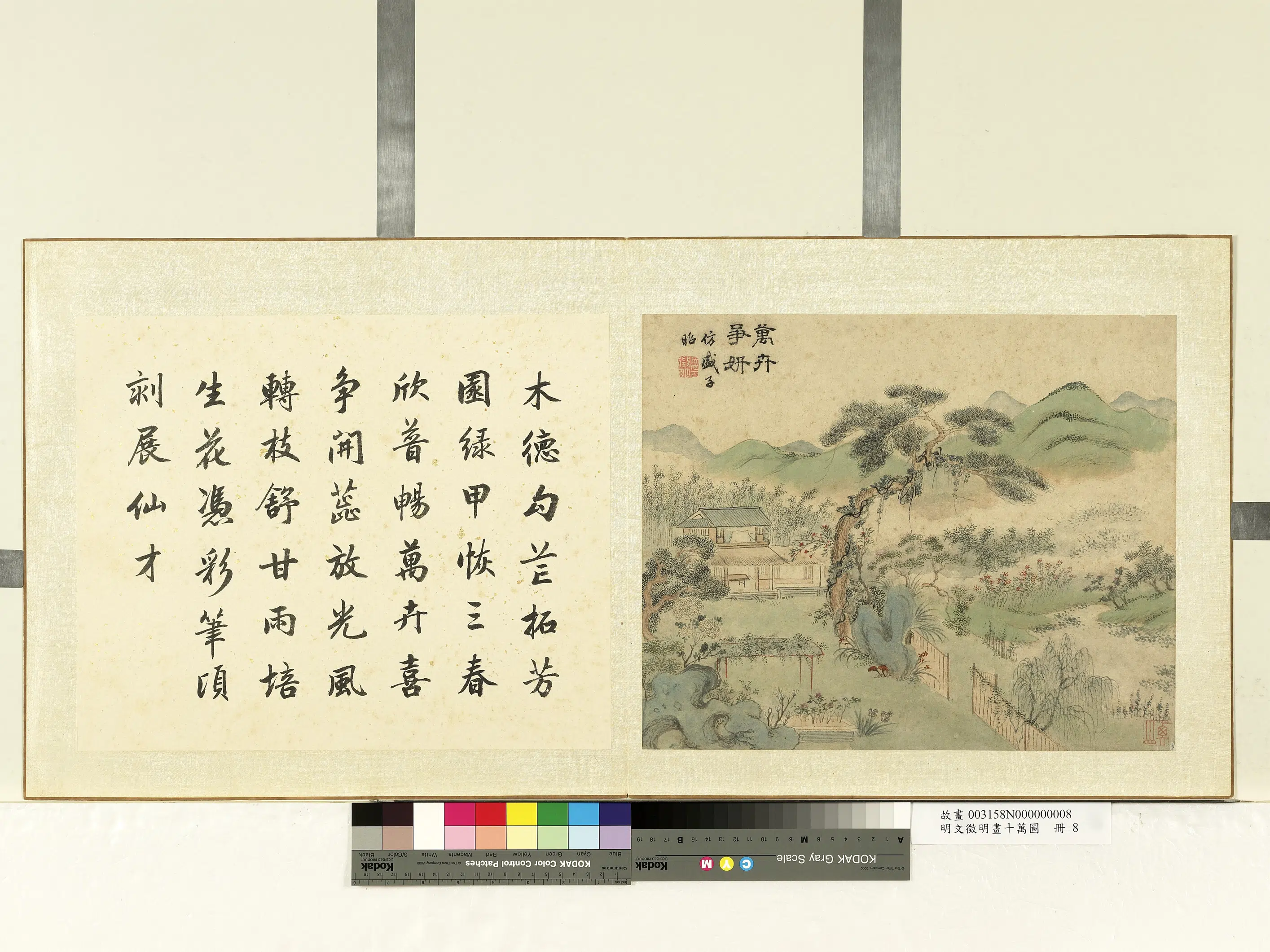 明朝【文征明徵明】《画十万图册-万卉争妍》