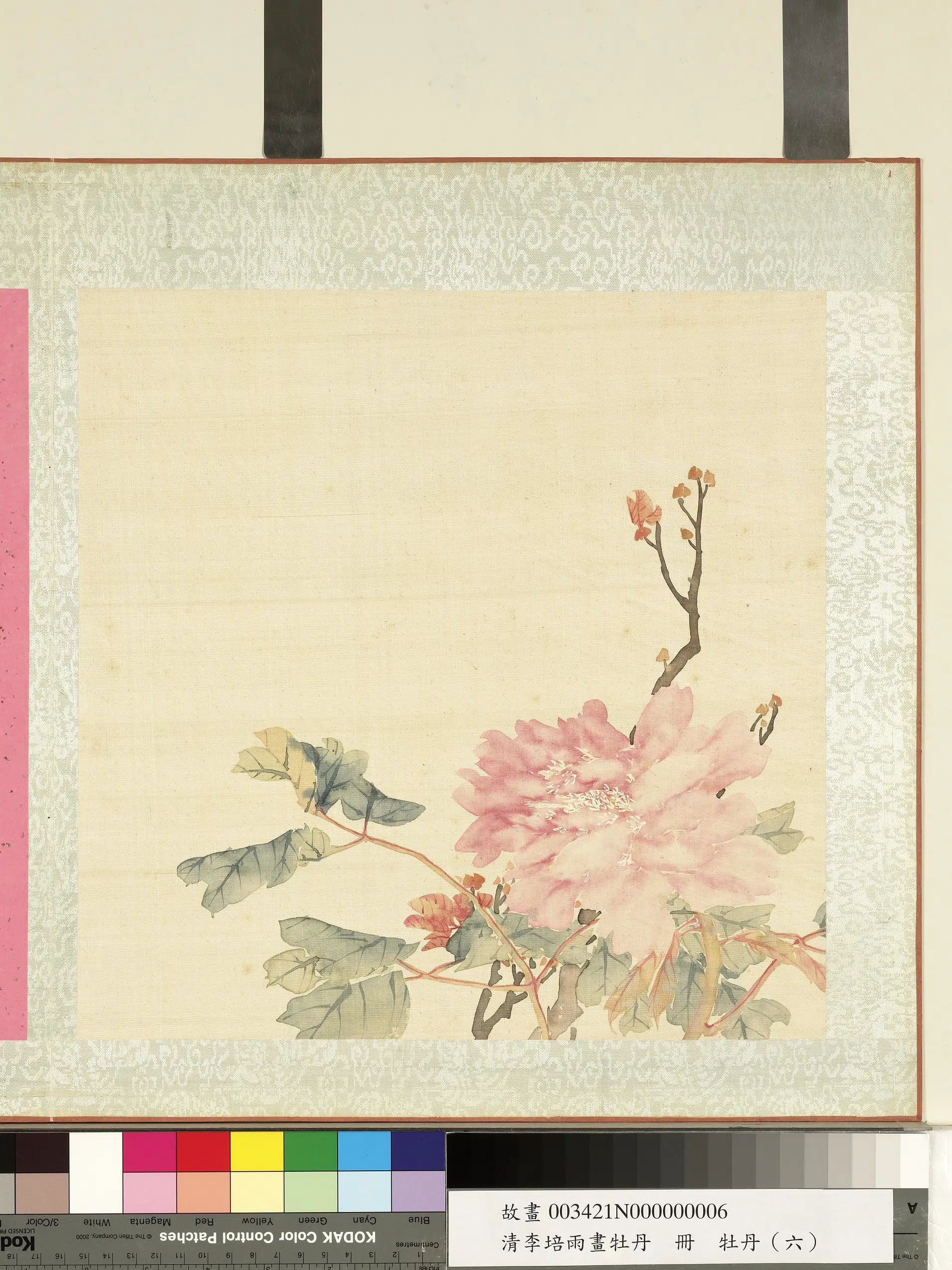 清代【李培雨】《画牡丹册》 第8张 清代【李培雨】《画牡丹册》 第8张