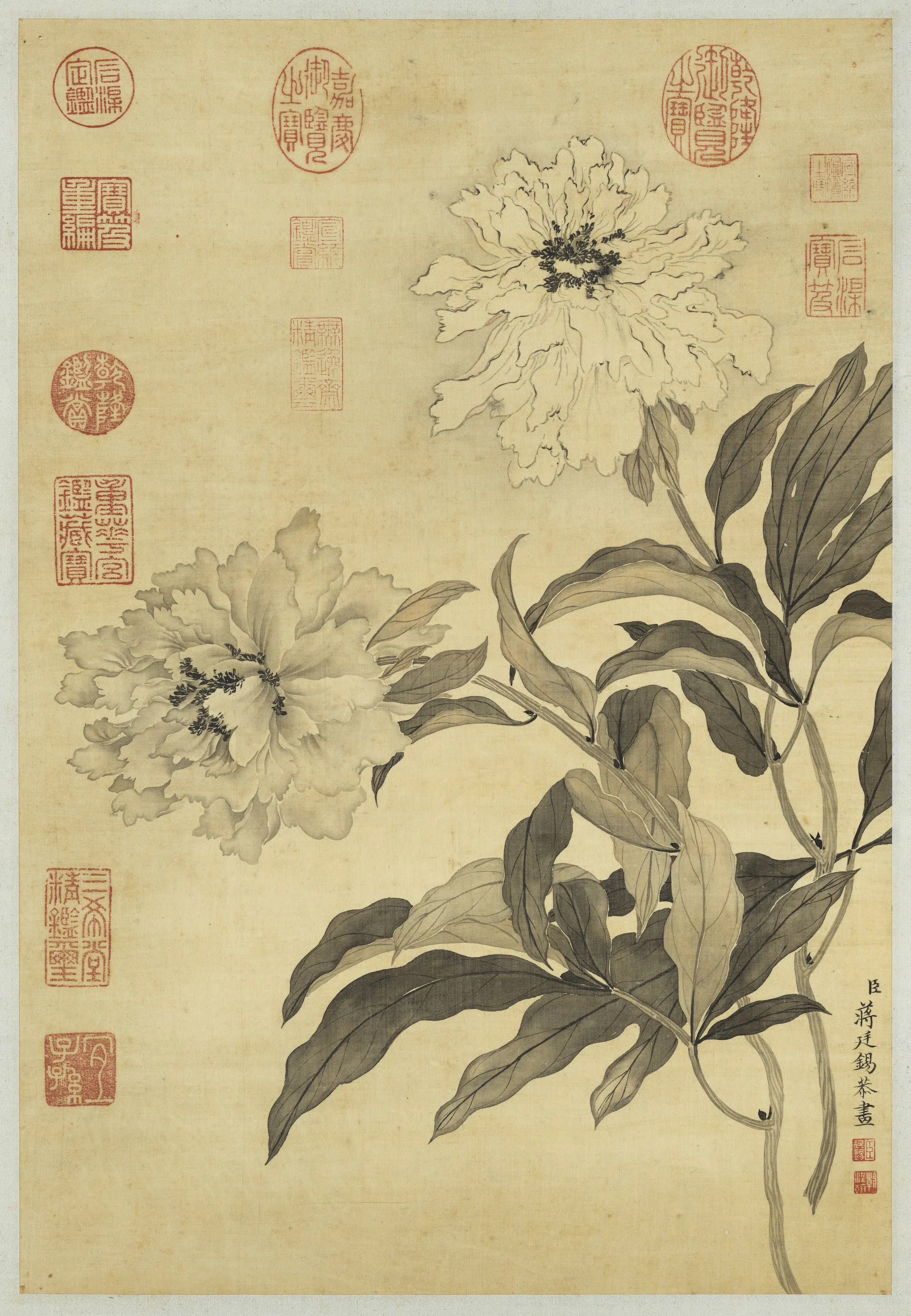 清代【蒋廷锡】《画墨牡丹图轴》