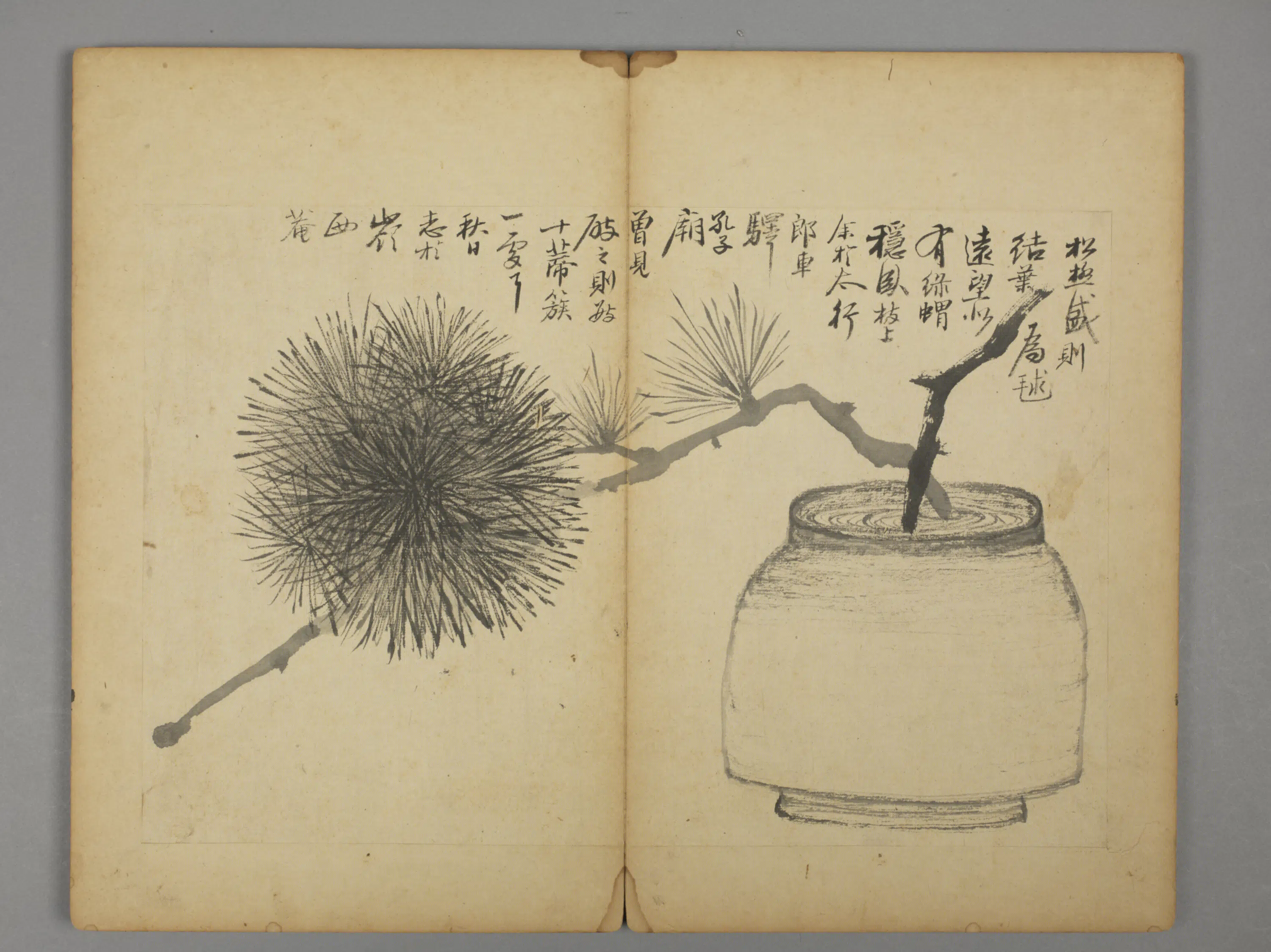 清代【王六真】《杂画册》 第3张