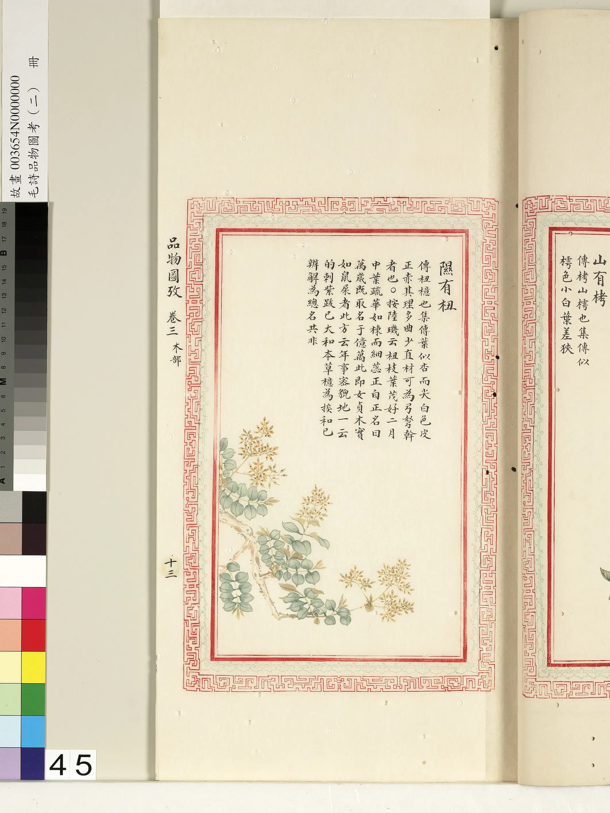 清代《毛诗品物图考(二)册-1》 第59张 清代《毛诗品物图考(二)册-1》 第59张