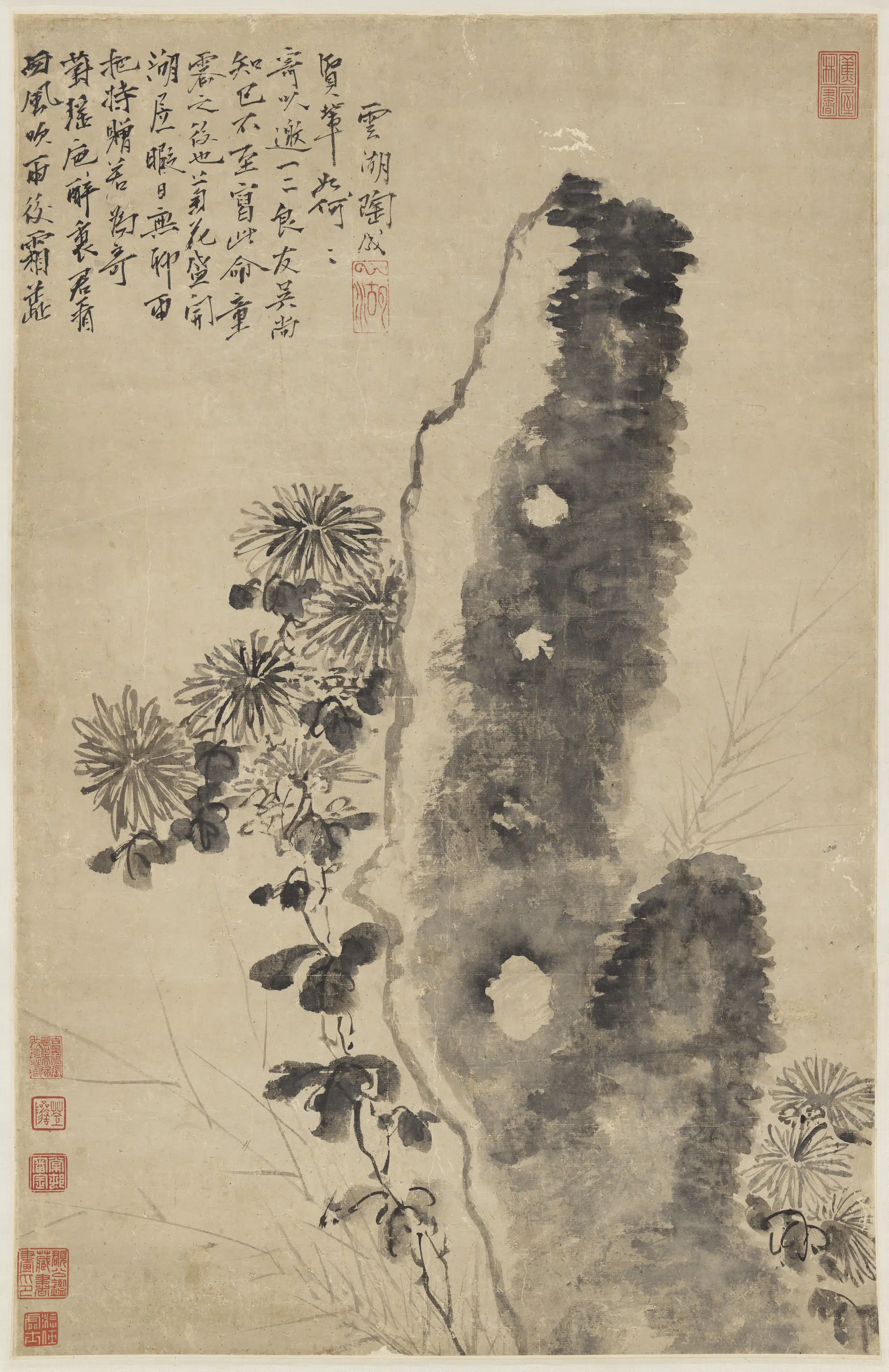 明朝【陶成】《菊石图轴》