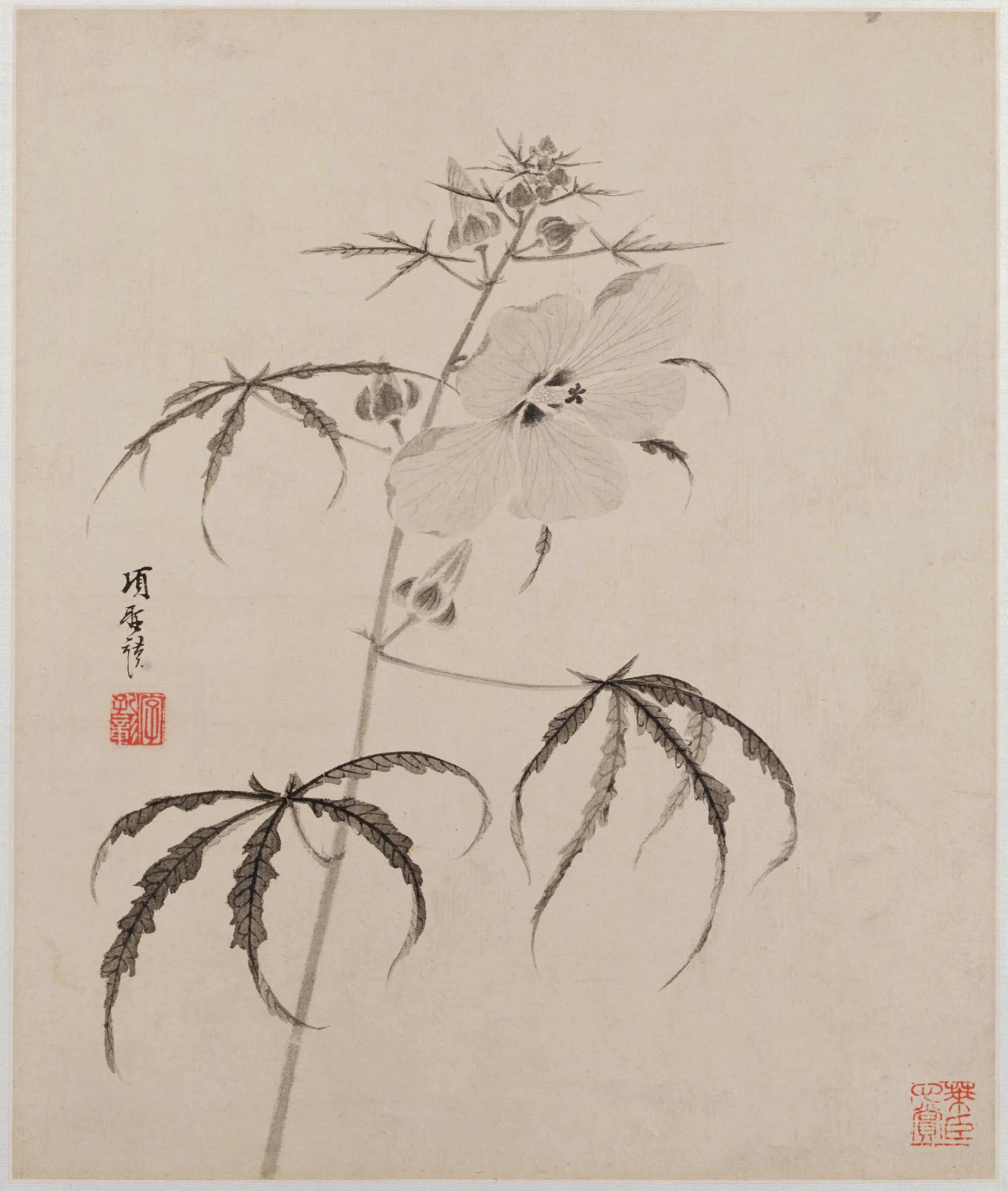 明朝【项圣谟】《花卉草虫册（8开）》 第3张