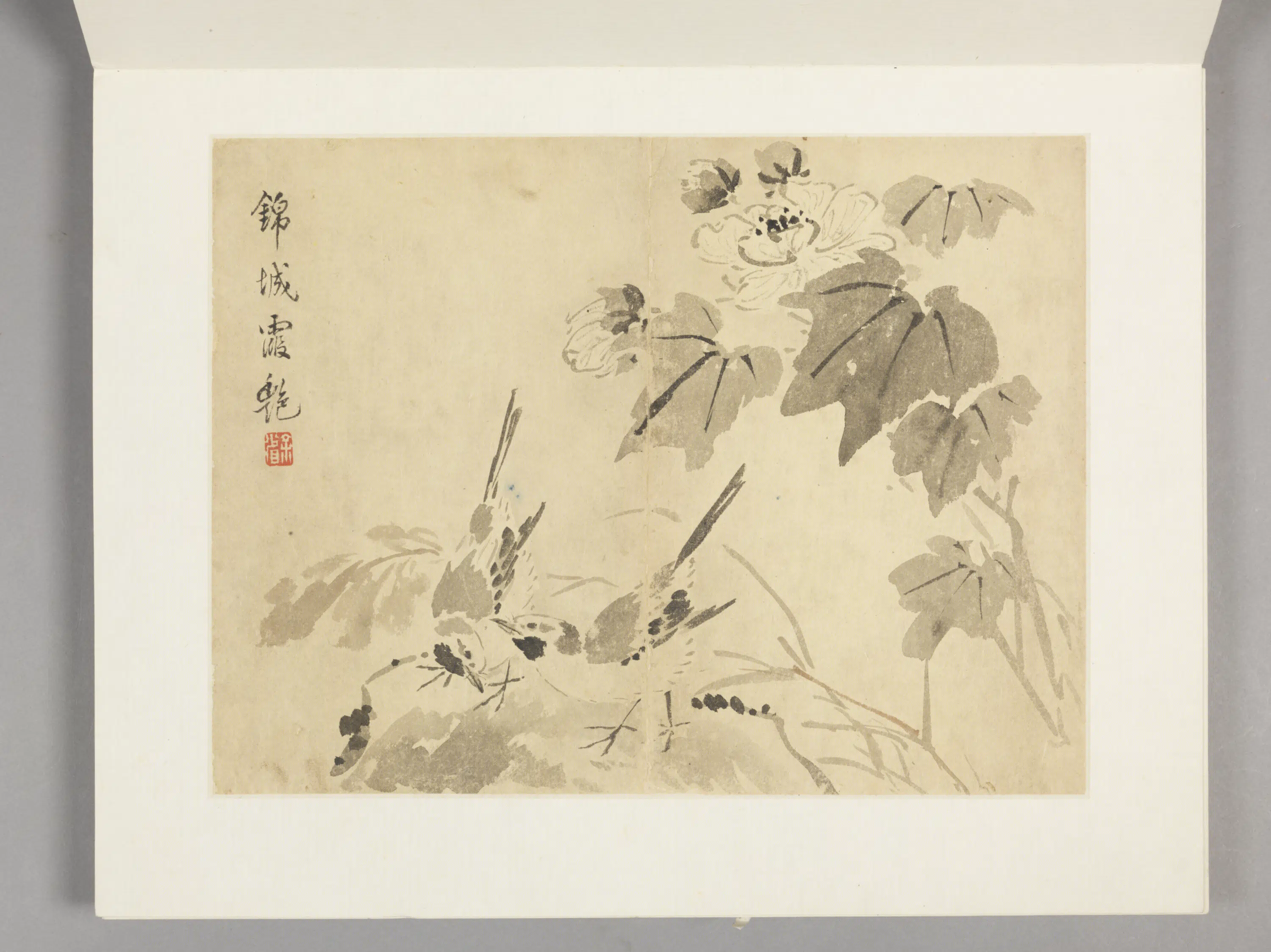 清代【余省】《花卉册（12开）》 第7张