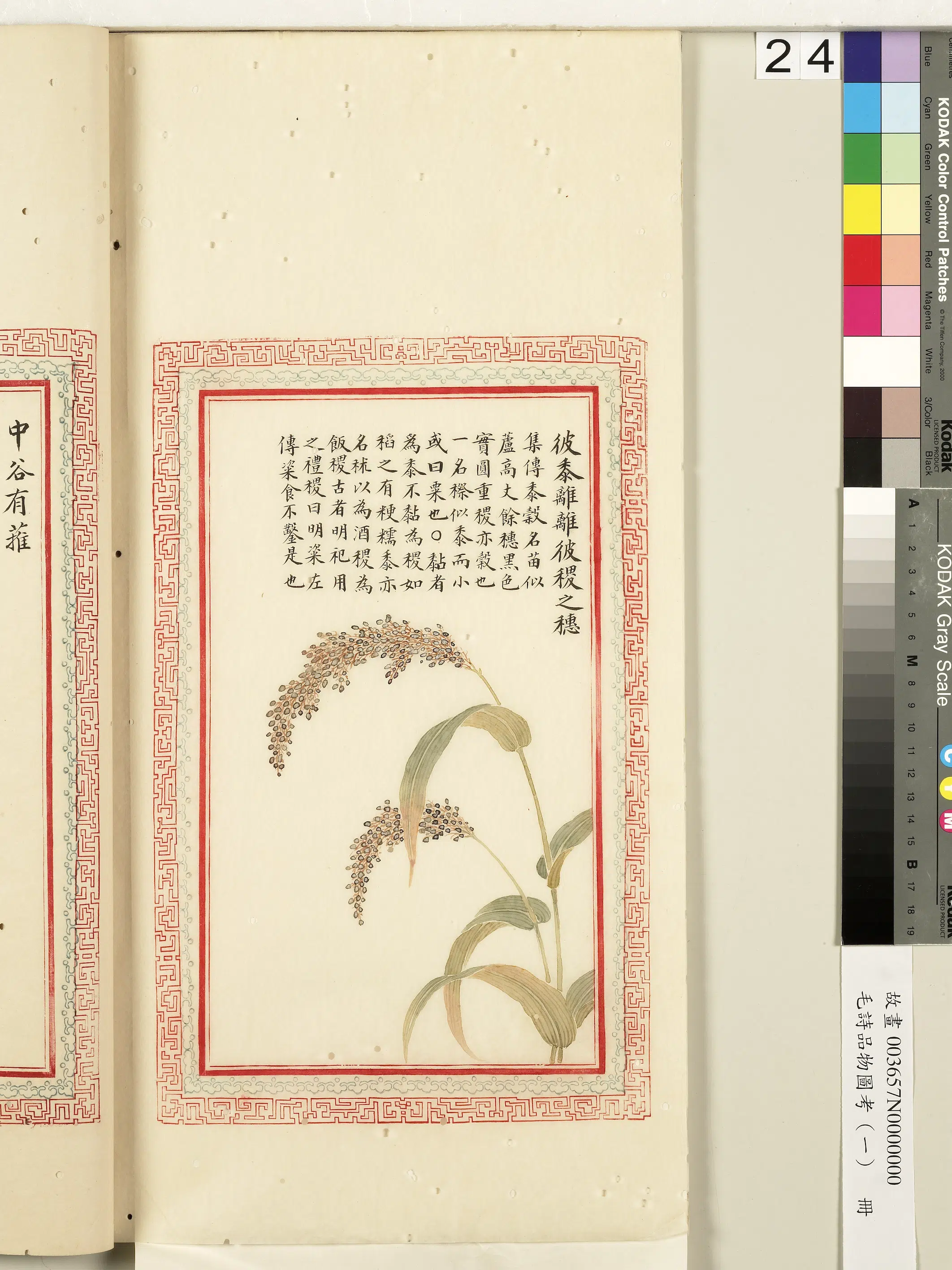 清朝《毛诗品物图考(一)册-2》 第27张 清朝《毛诗品物图考(一)册-2》 第27张