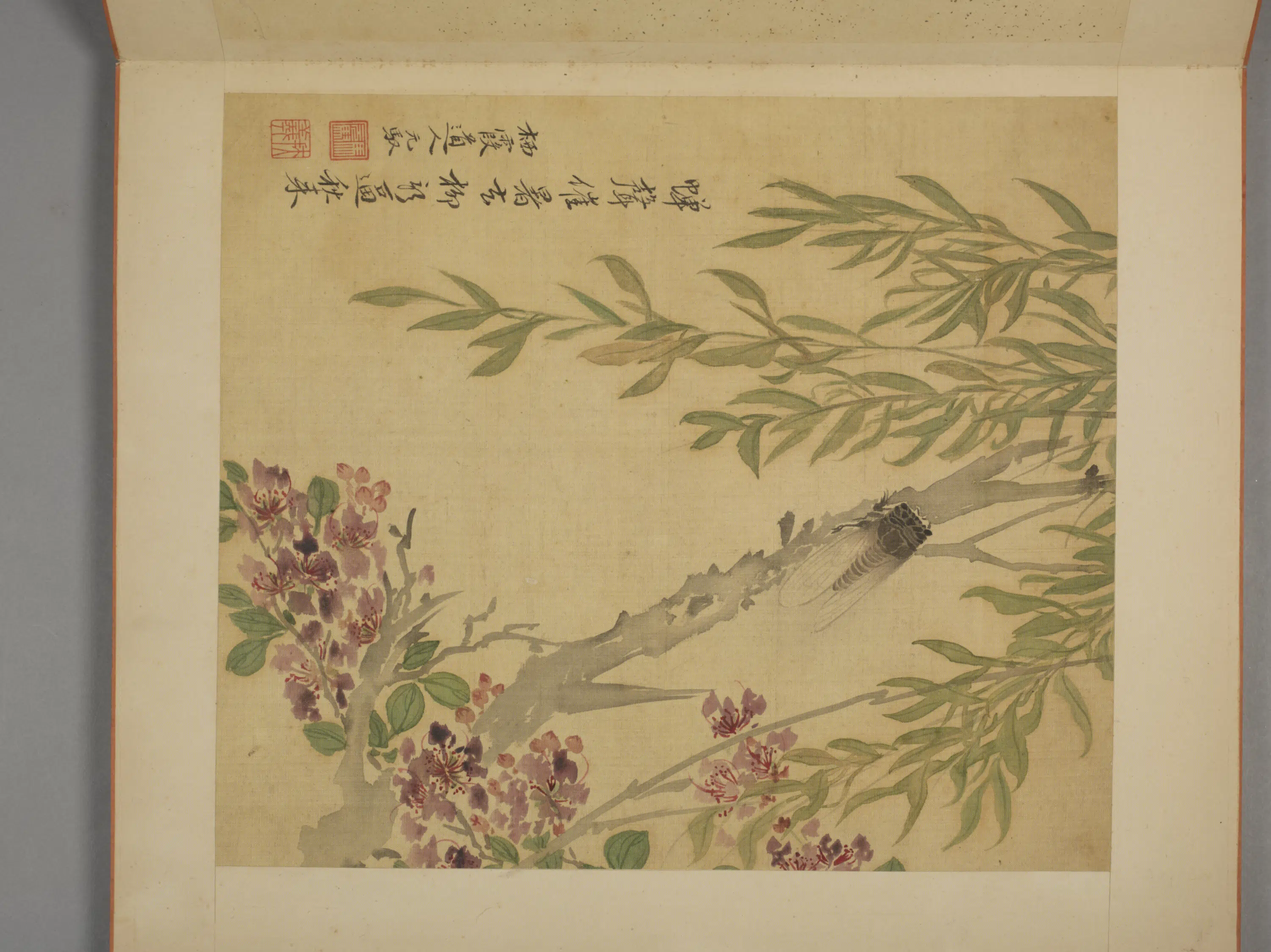 清代【马元驭】《花卉册》 第6张