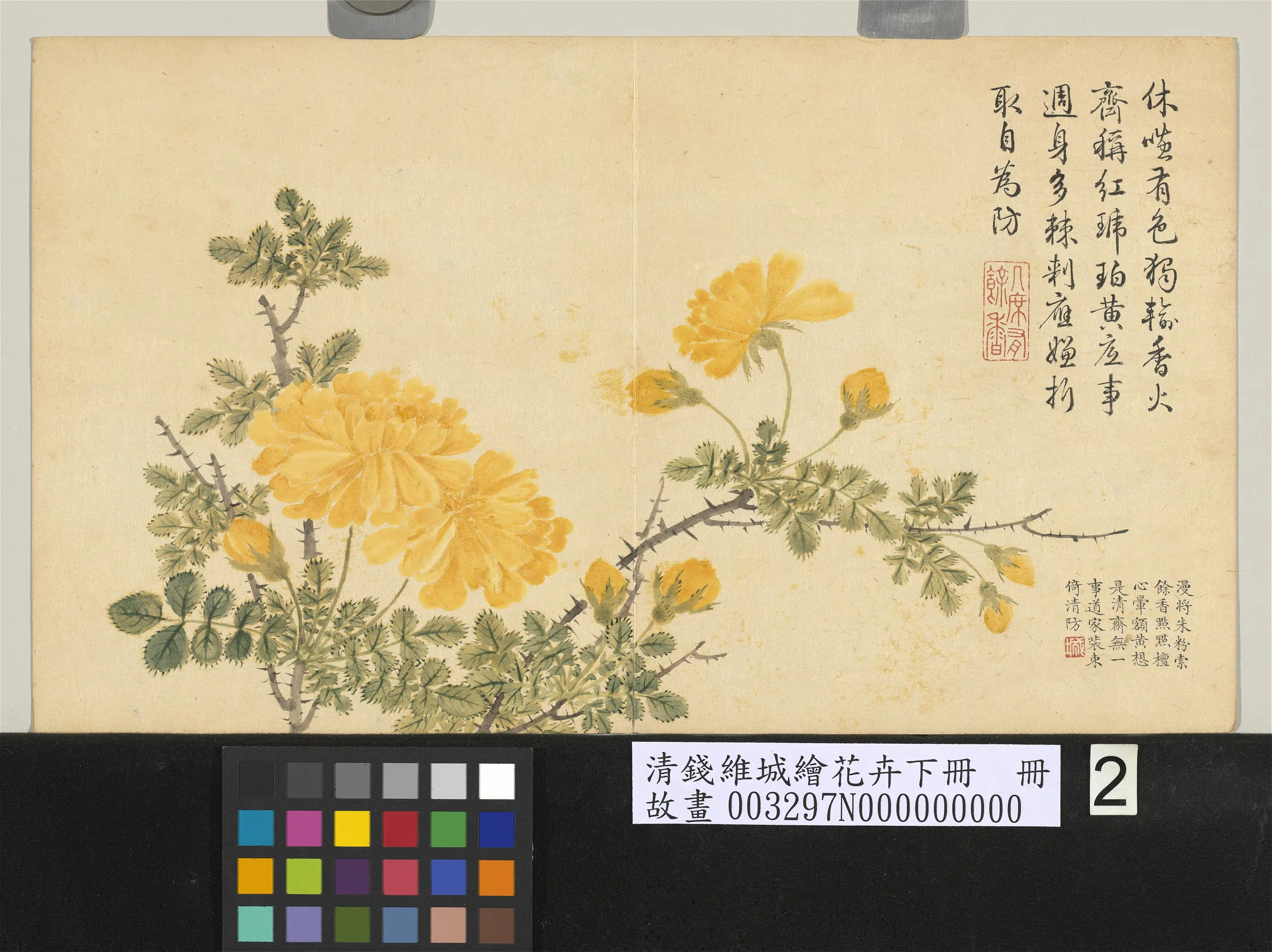 清代【钱维城】《绘花卉（下）册-黄刺蘼》