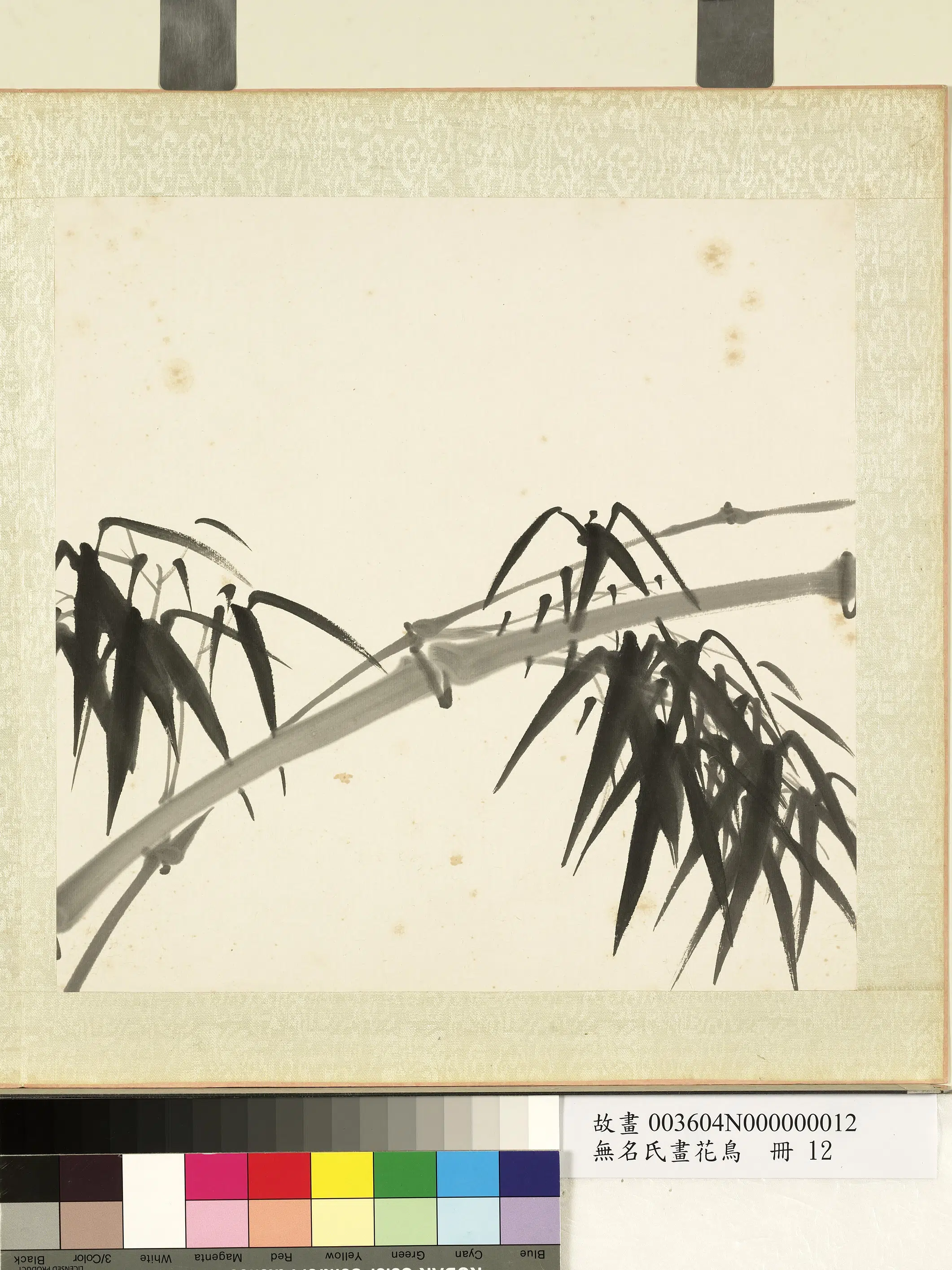 《无名氏画花鸟册》 第10张 《无名氏画花鸟册》 第10张