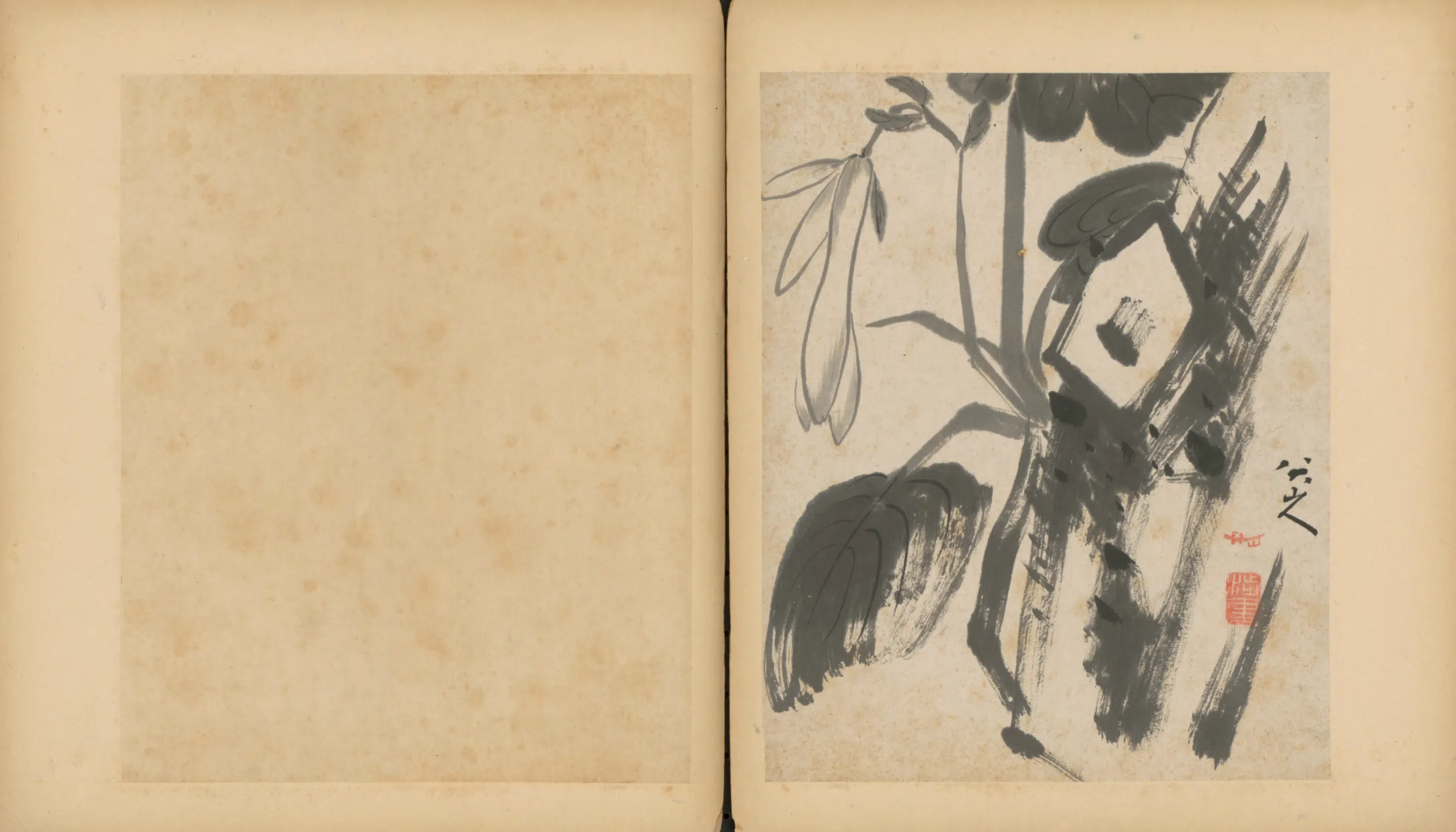 清代【朱耷】《杂画册（9开）》 第3张