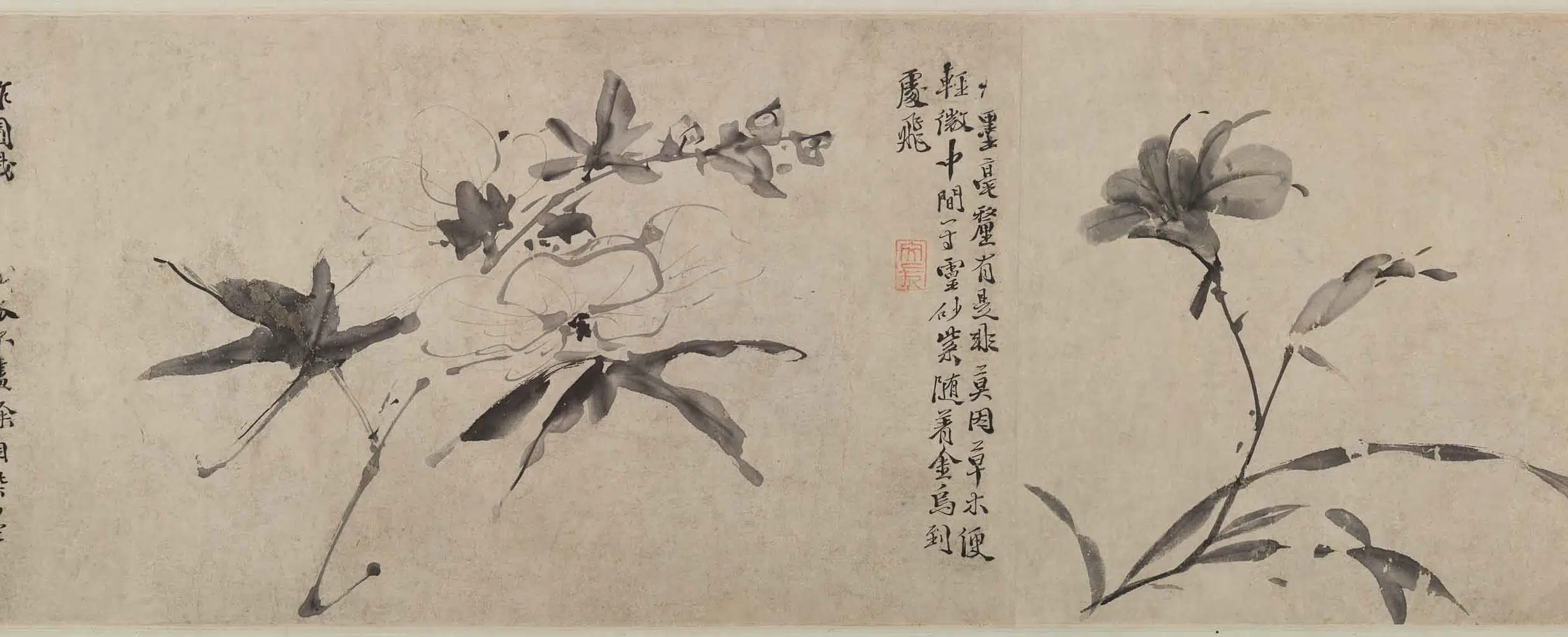 明朝【徐渭】《杂花图卷》 第6张 明朝【徐渭】《杂花图卷》 第6张