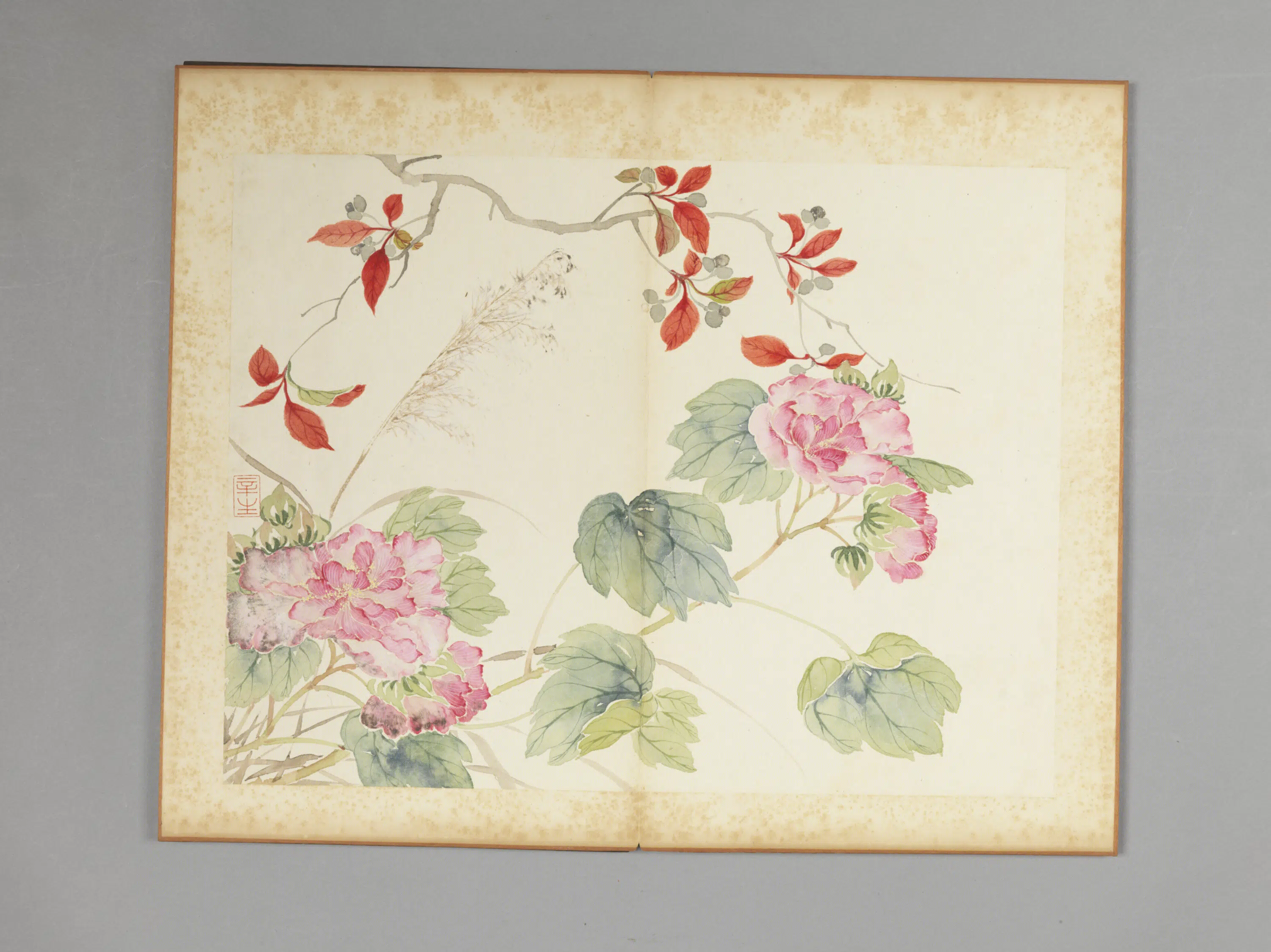 清代【吴楷】《花卉册》 第5张