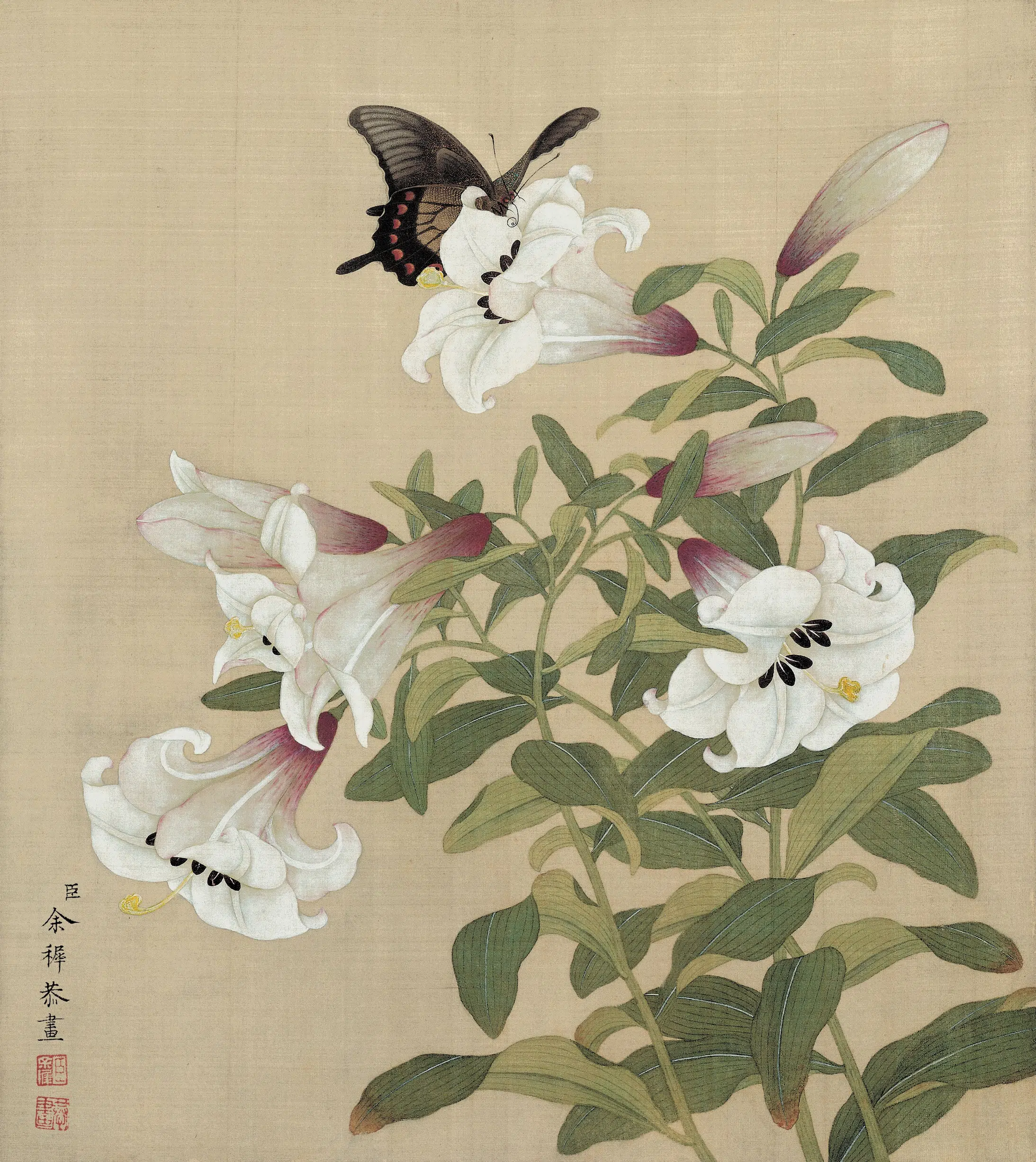清代【余穉】《花鸟图册》 第7张