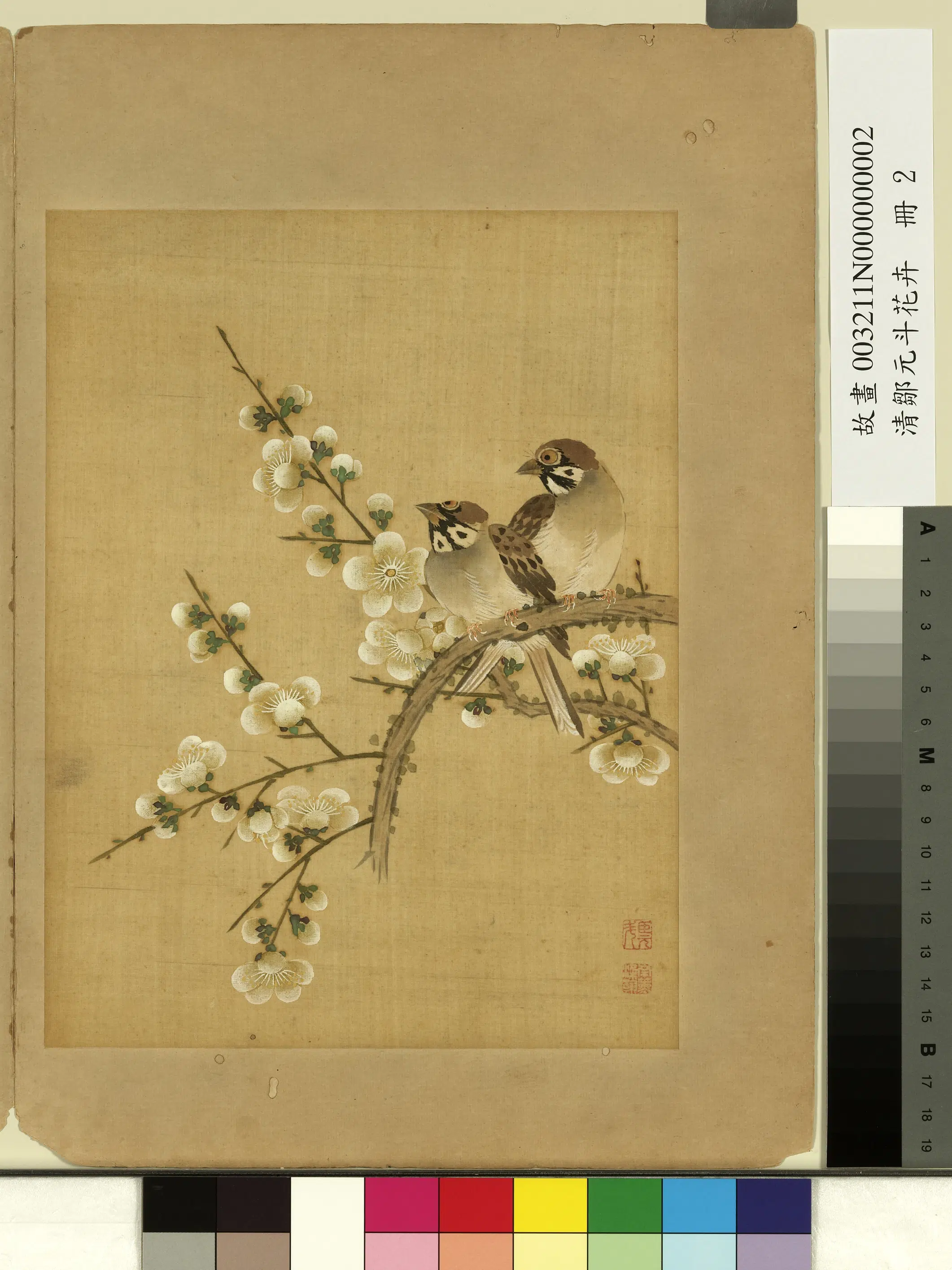 清代【邹元斗】《花卉册》 第4张