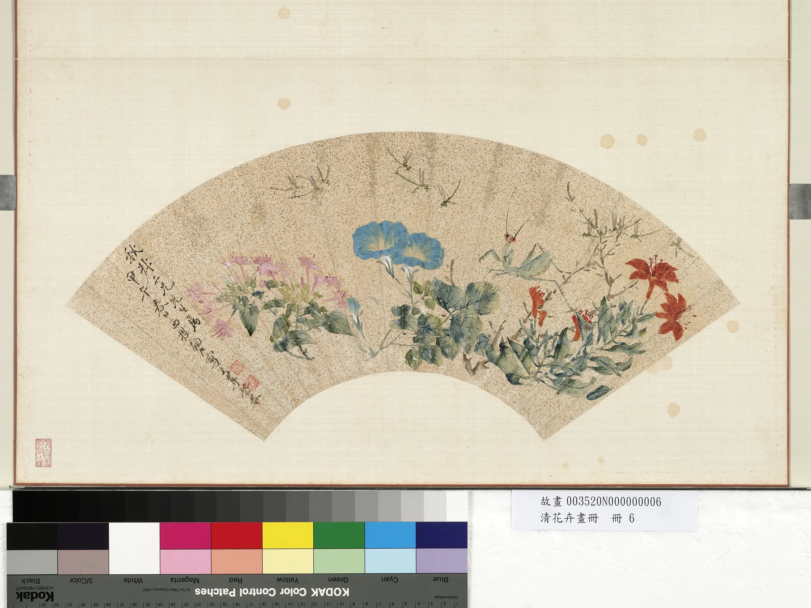 清代【顾洛】《花卉画册-花卉图》