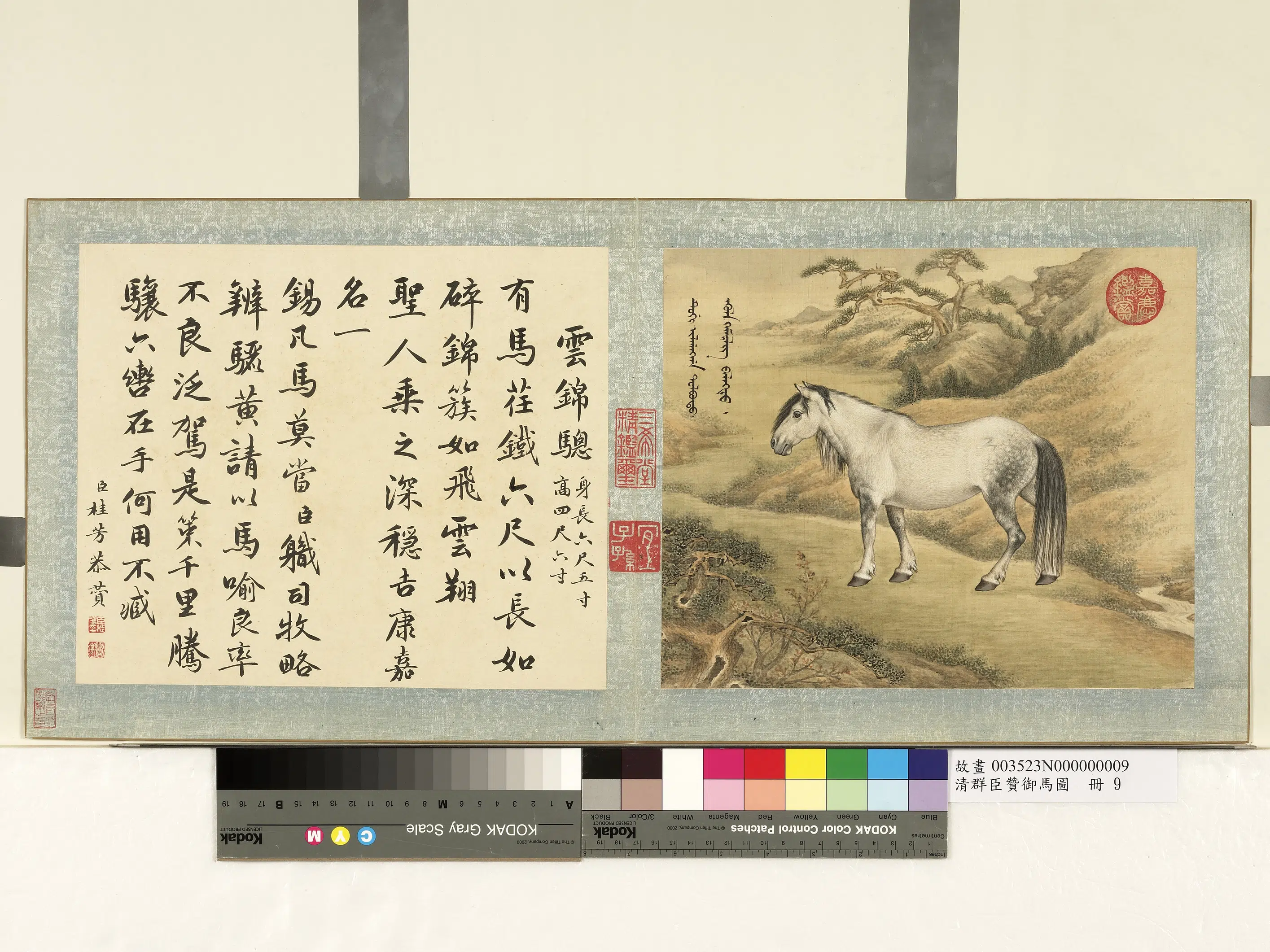《群臣赞御马图册-清人云锦骢》