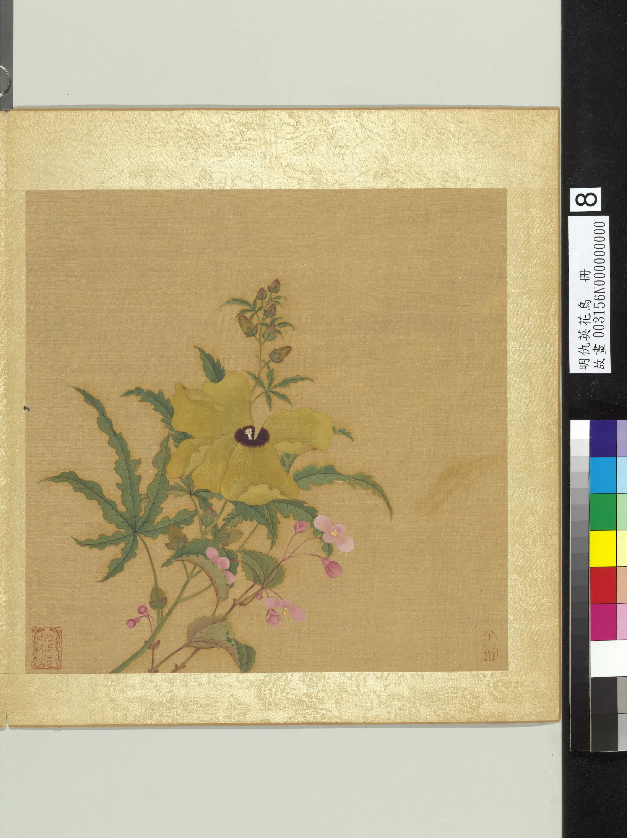 明朝【仇英】《花鸟册（12开）》 第10张