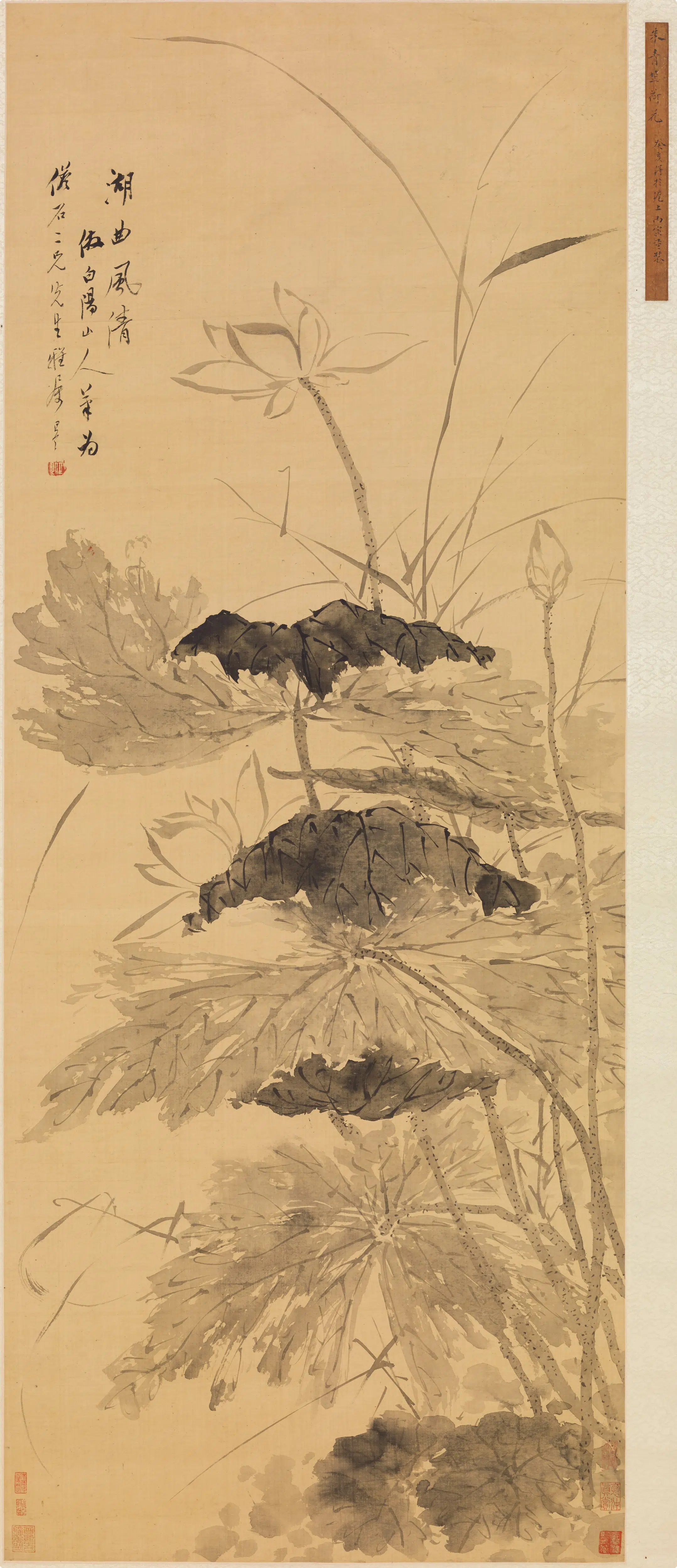 清代【朱昂之】《荷花图轴》