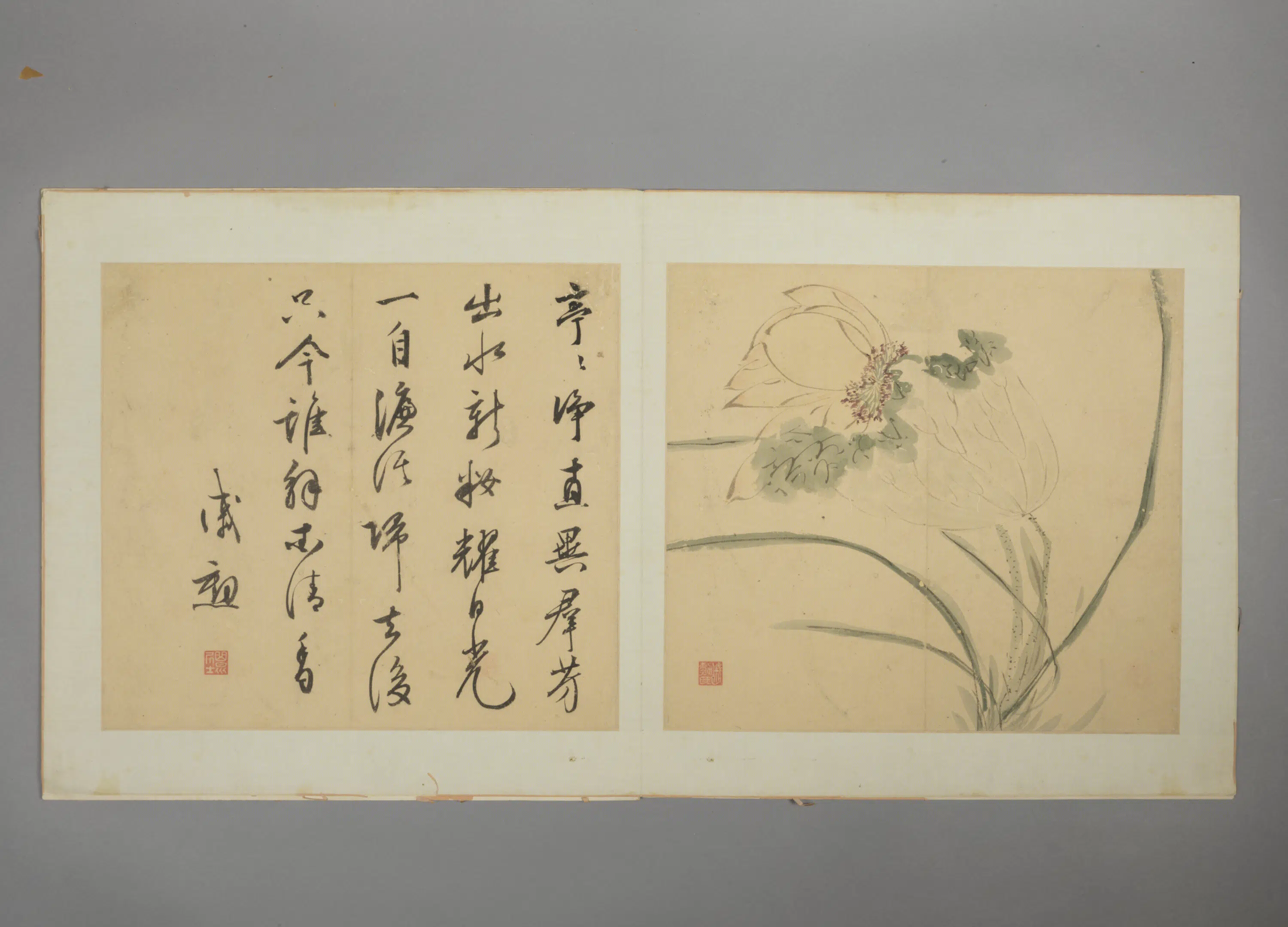 明朝【戚勋】《花卉册》 第2张