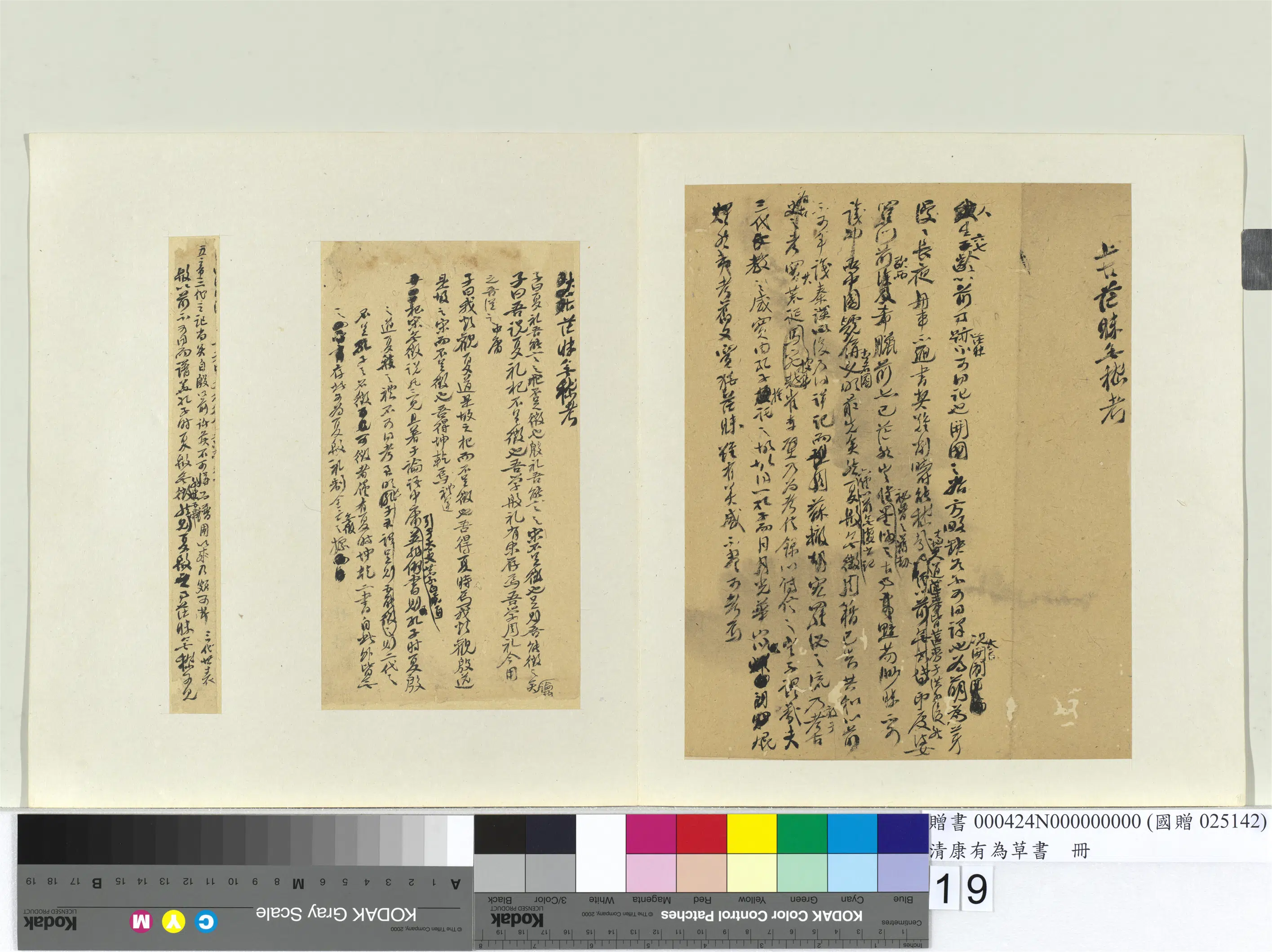 清代【康有为】《草书册》 第11张