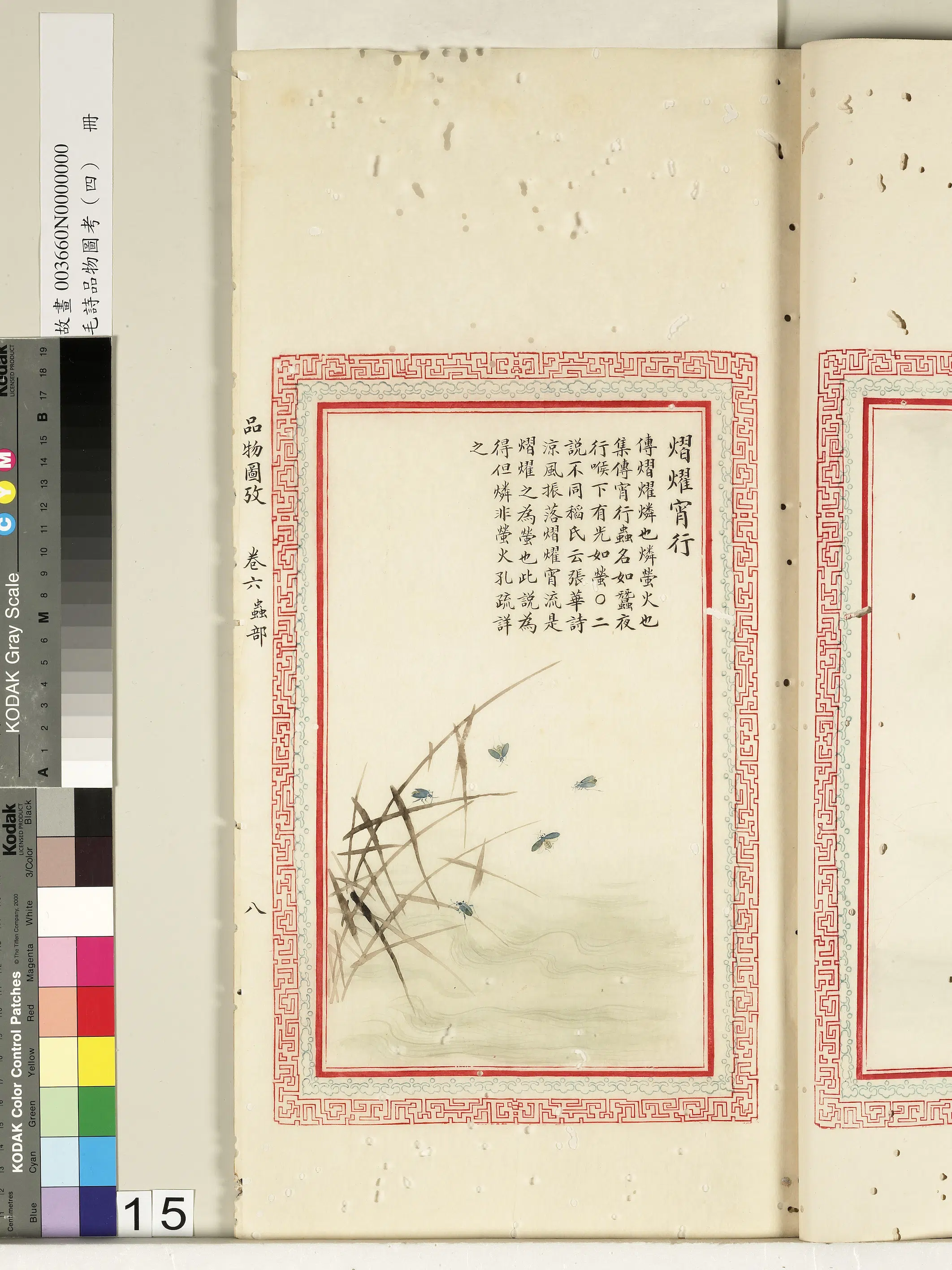 清代《毛诗品物图考(四)册-2》 第12张 清代《毛诗品物图考(四)册-2》 第12张