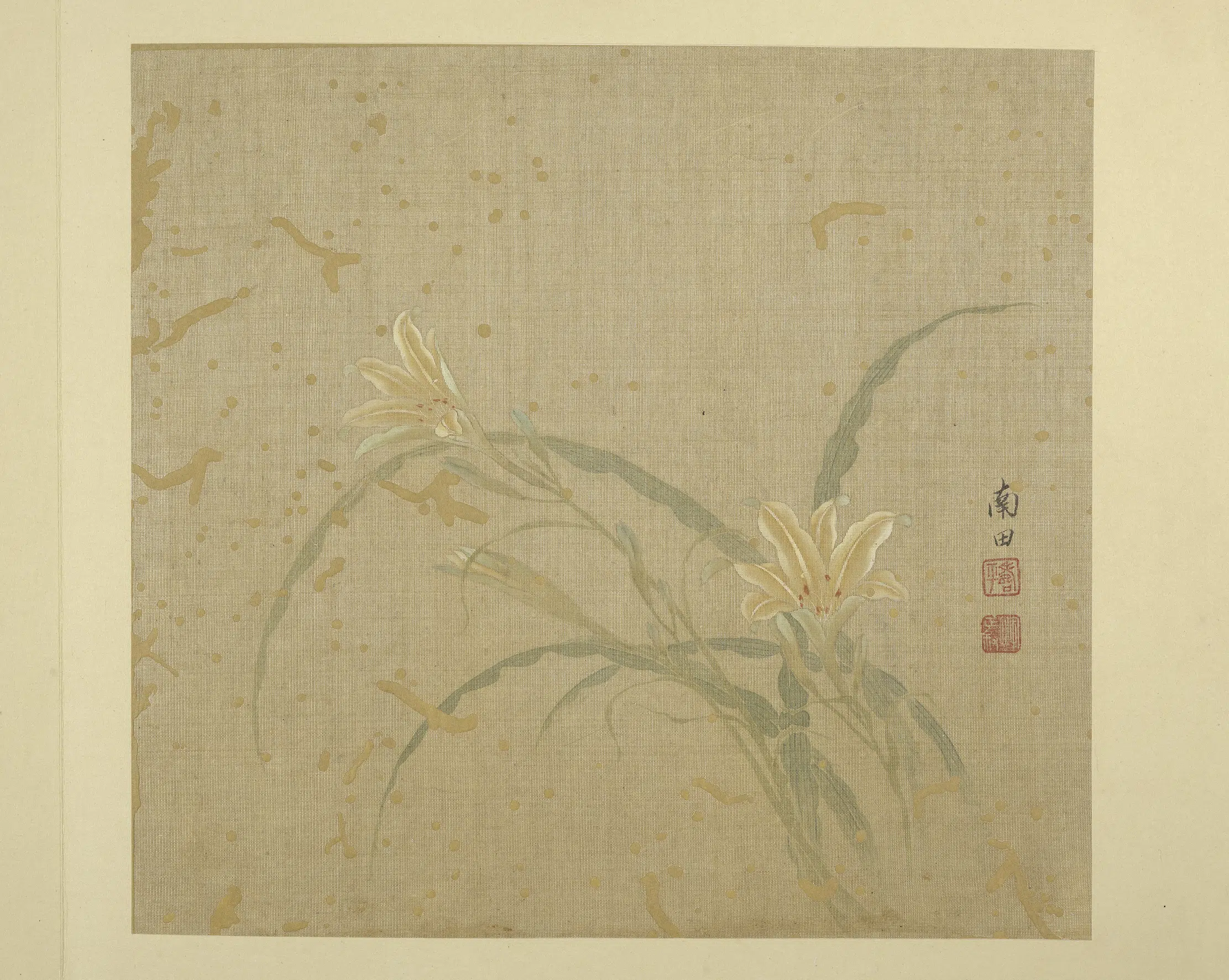 清代【恽寿平】《画花卉册-萱花》