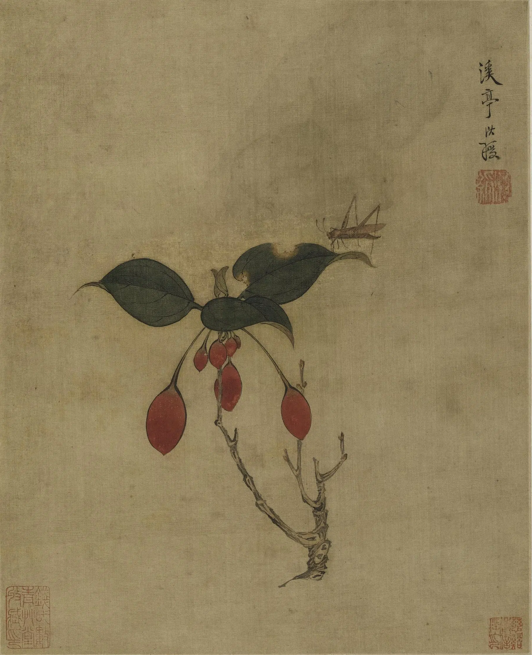 明朝【陈洪绶】《花鸟草虫册》 第7张 明朝【陈洪绶】《花鸟草虫册》 第7张