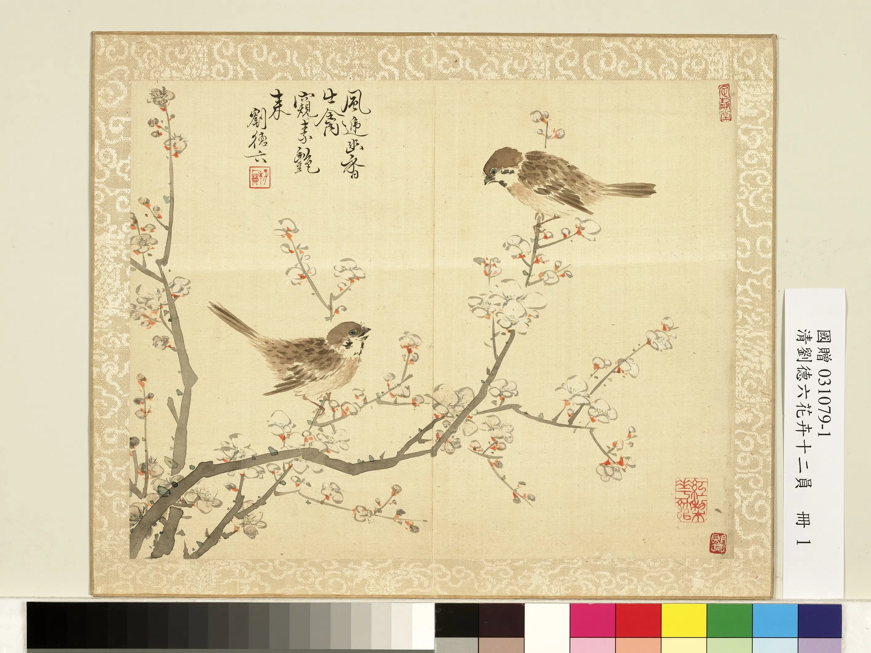 清代【刘德六】《花卉十二员册》 第5张