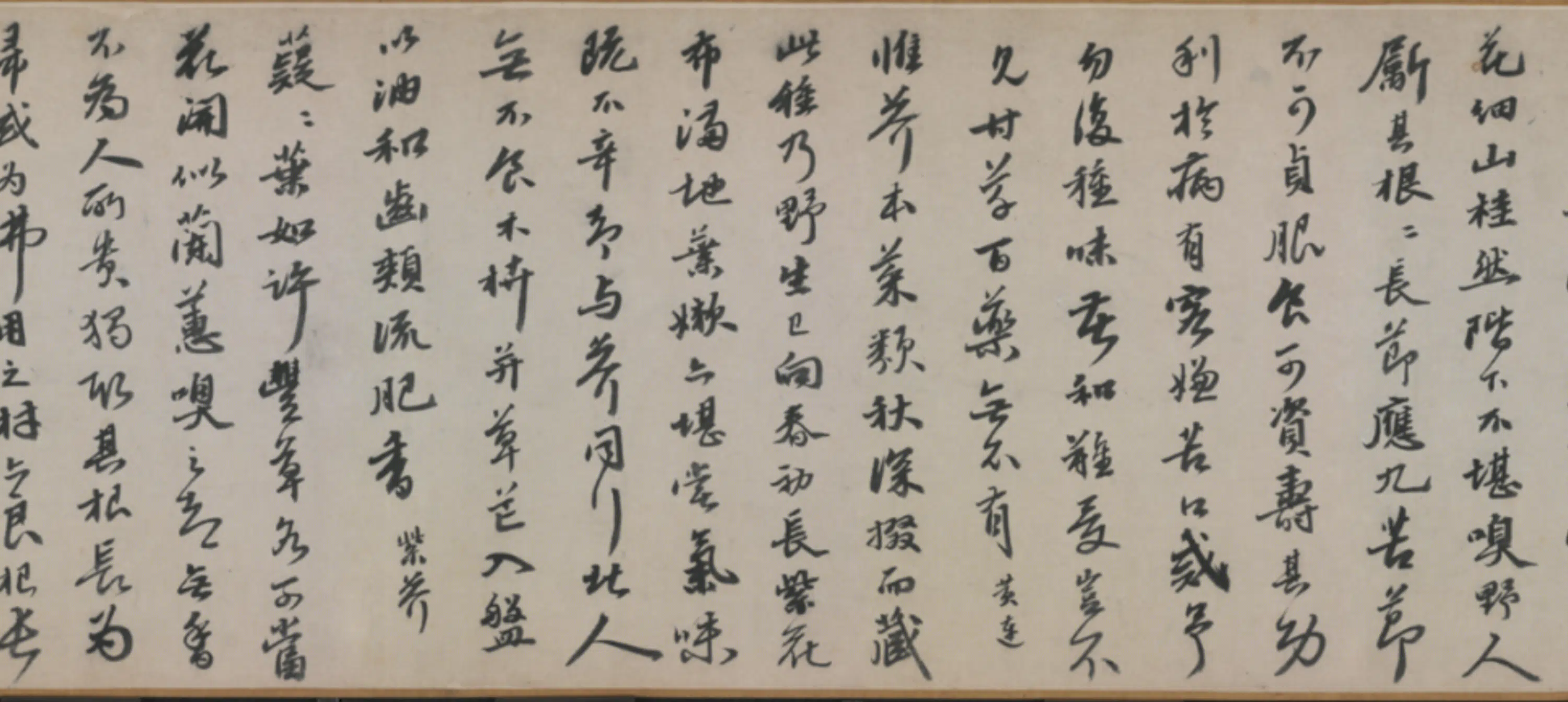 明朝【吴宽】《行书记园中草木二十首卷》 第3张