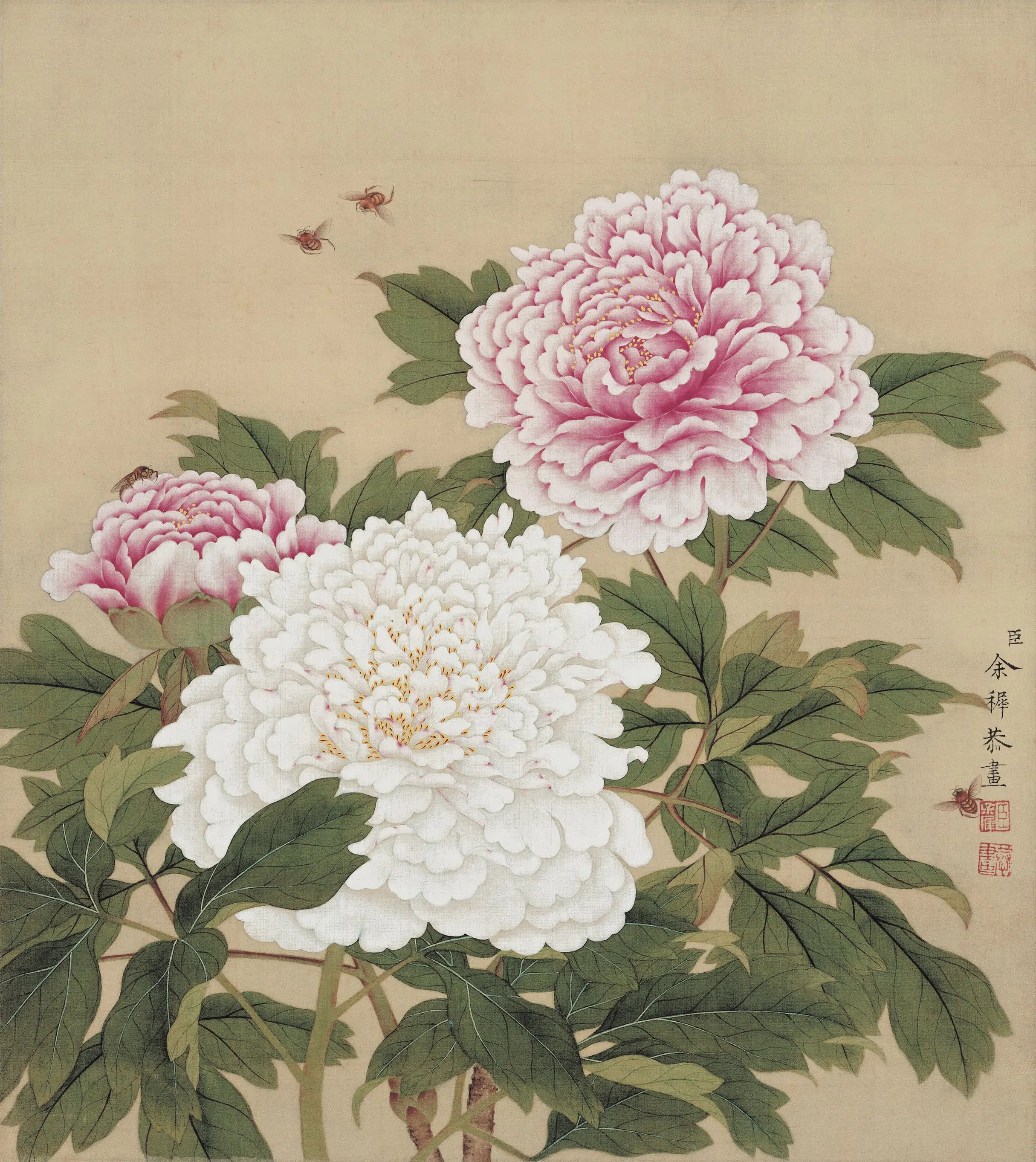 清代【余穉】《花鸟图册》 第3张