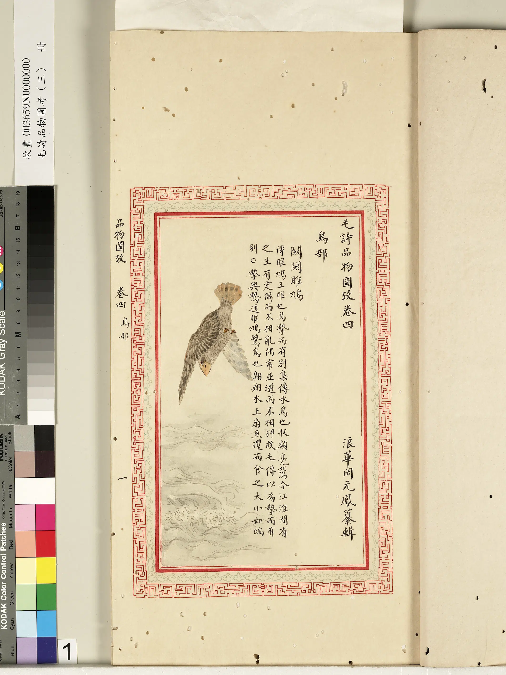 清代《毛诗品物图考(三)册-2》 第4张 清代《毛诗品物图考(三)册-2》 第4张