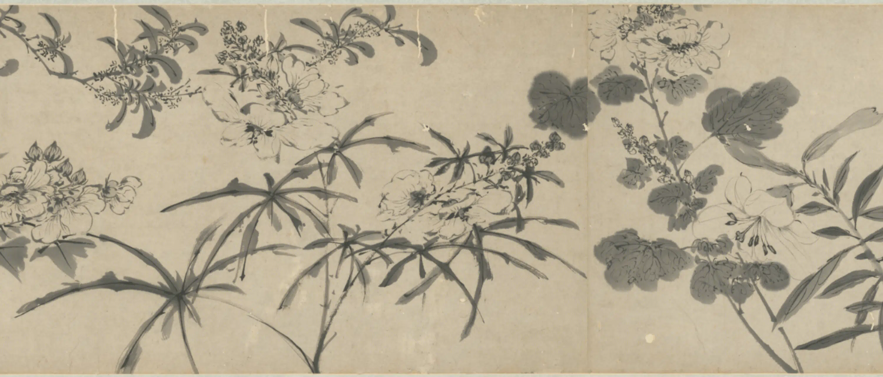 明朝【明人】《墨花图卷》 第3张 明朝【明人】《墨花图卷》 第3张
