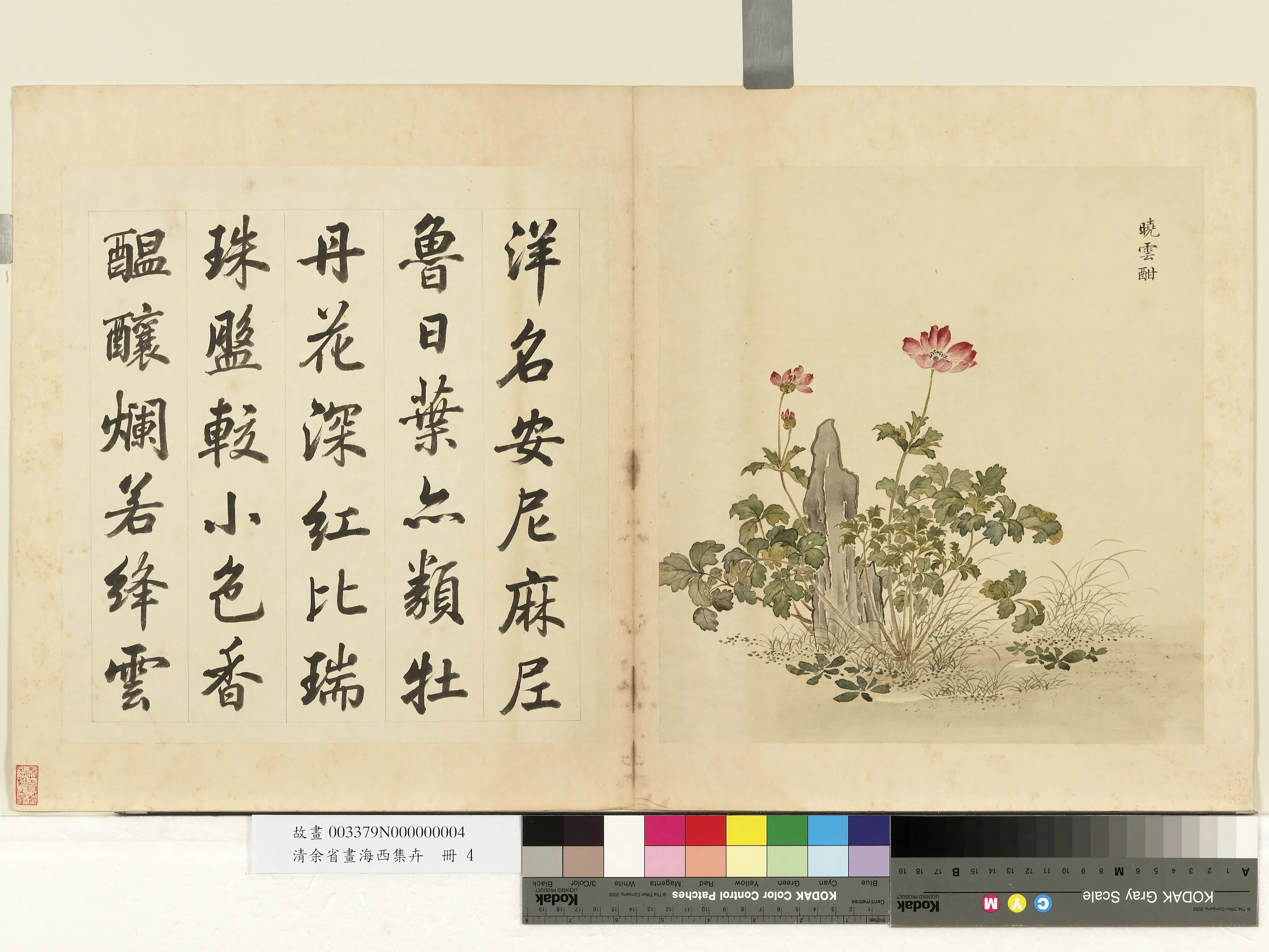 清代【余省】《画海西集卉册-晓云酣》