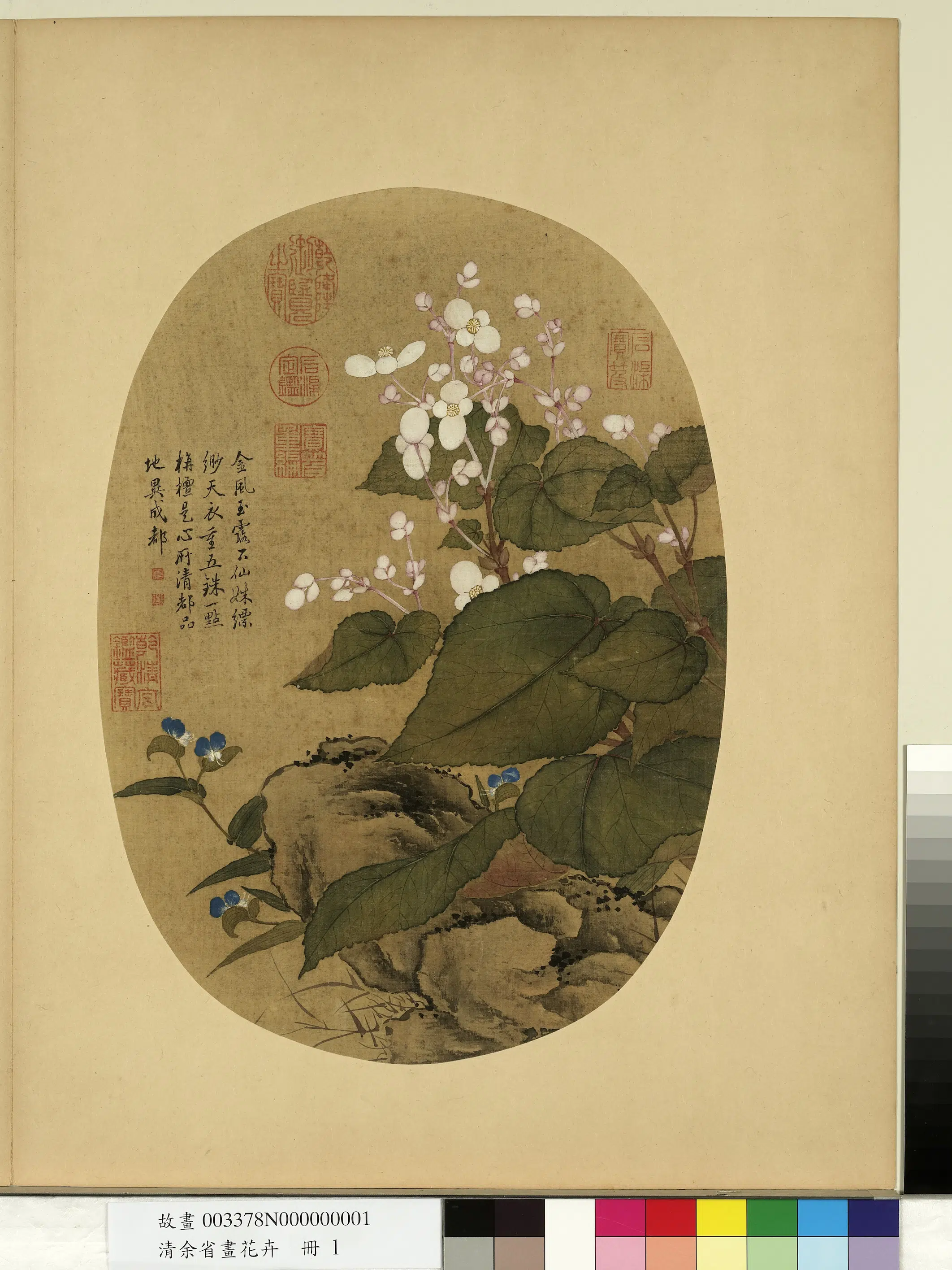 清代【余省】《画花卉册》 第6张