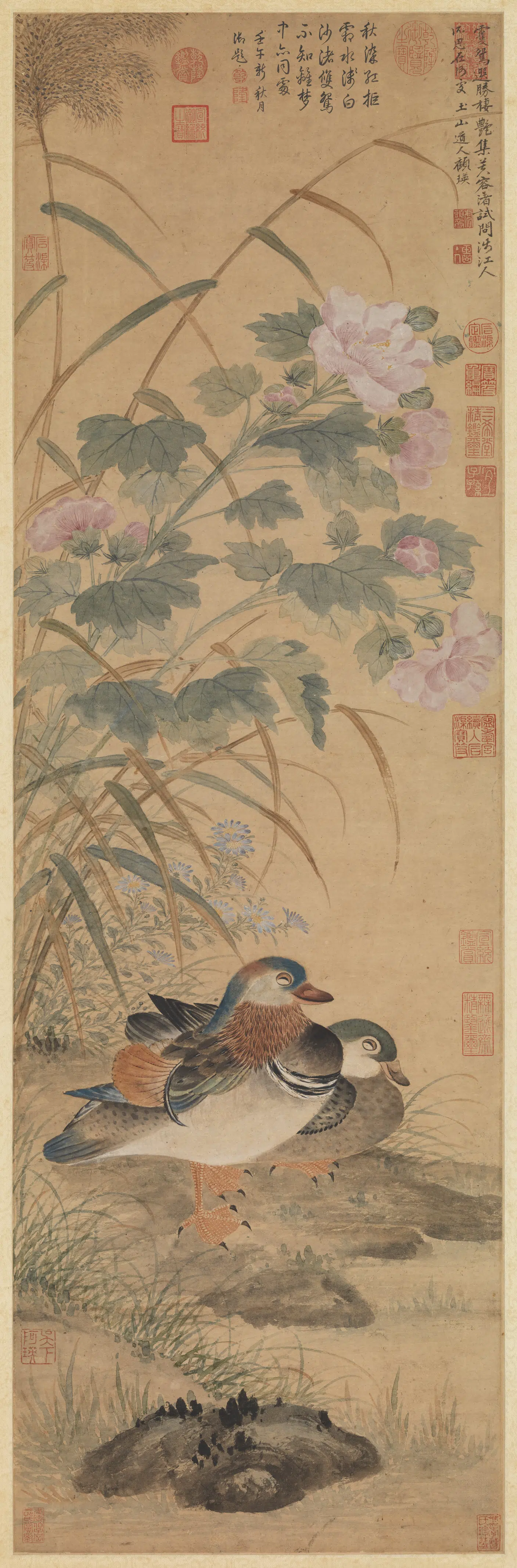 清代【顾瑛】《芙蓉双鸳图轴》 第1张 清代【顾瑛】《芙蓉双鸳图轴》 第1张