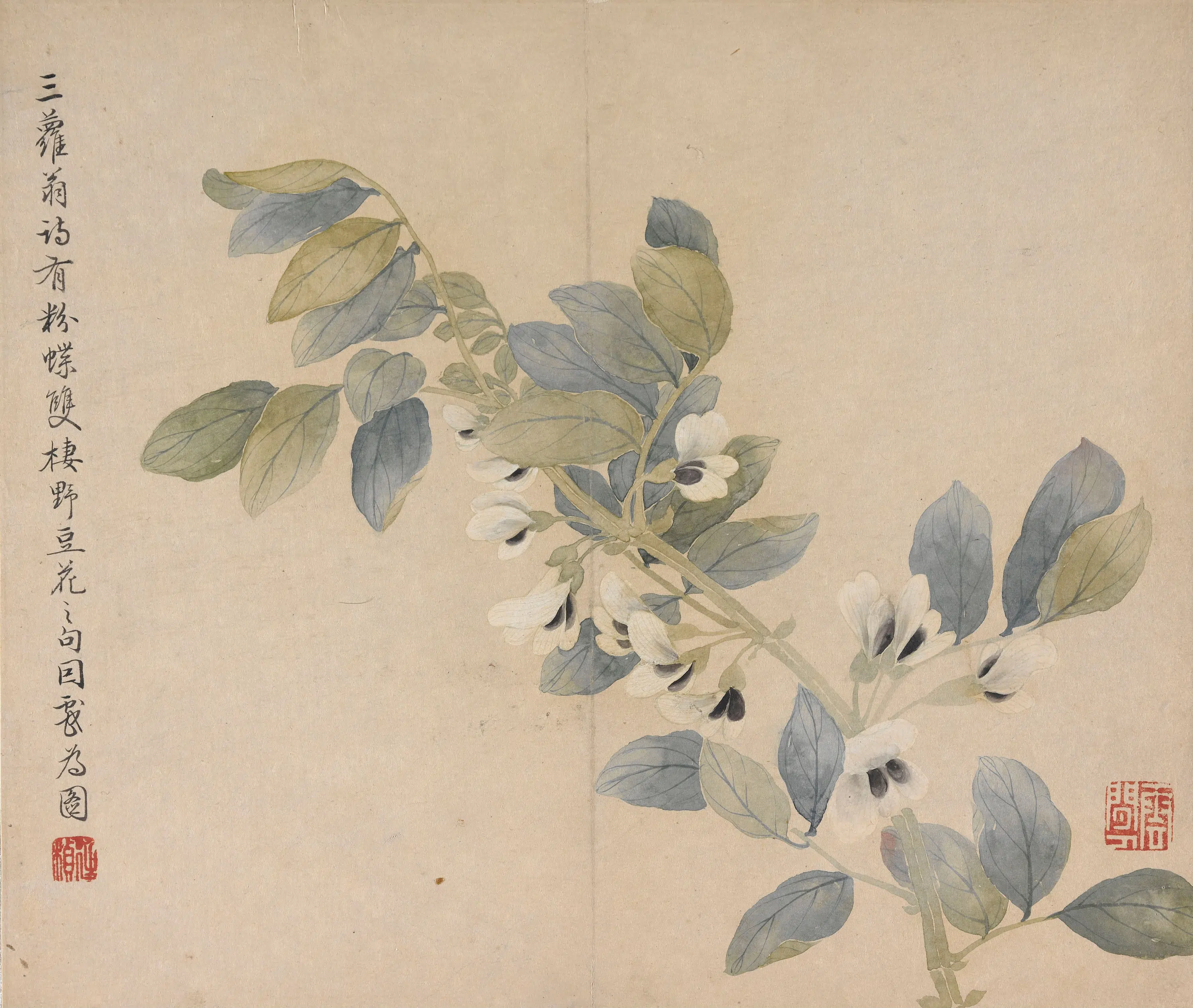 清代【冯祥】《花卉册（八开之四）》