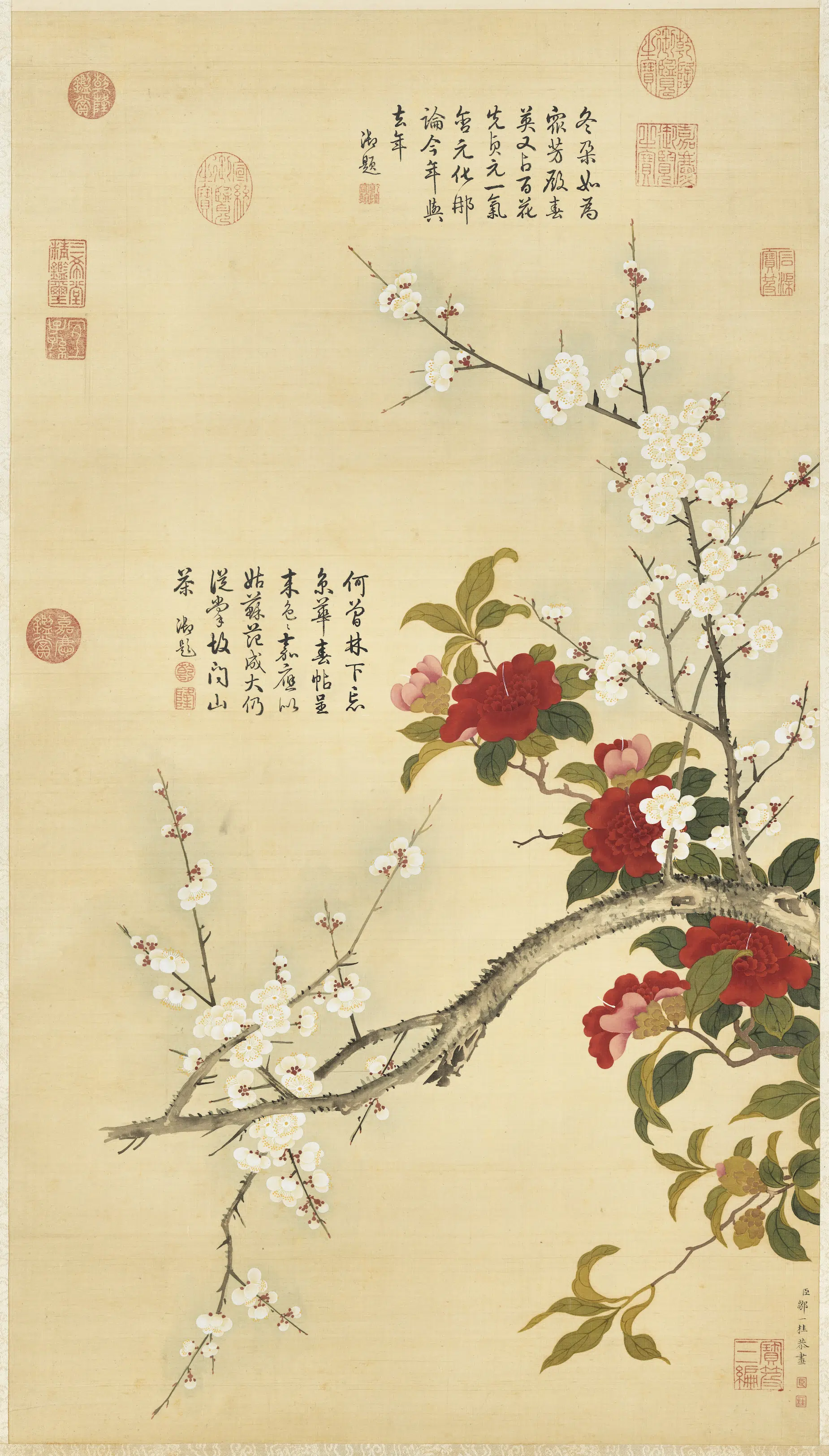 清代【邹一桂】《画白梅山茶图轴》
