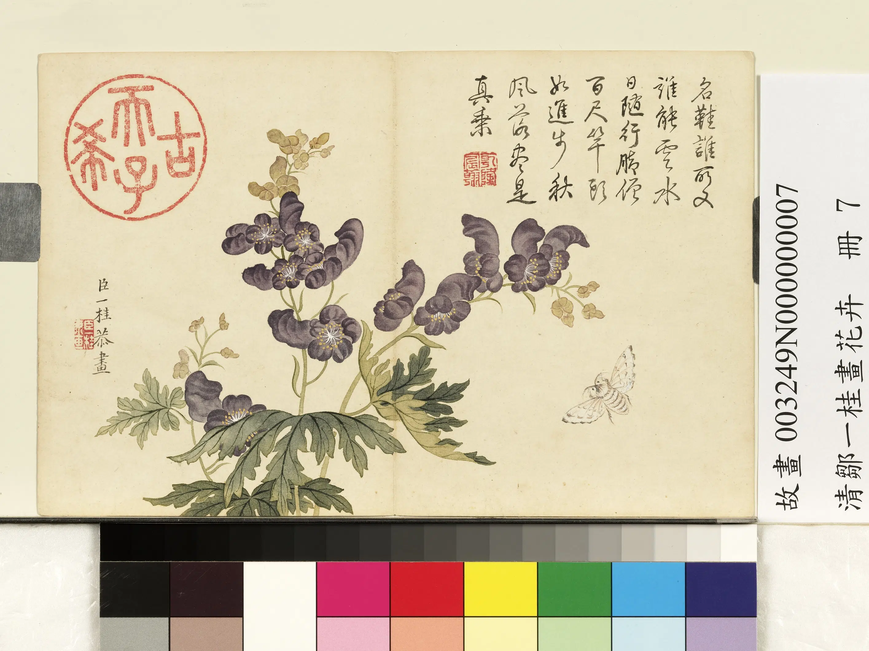 清代【邹一桂】《画花卉册》 第2张 清代【邹一桂】《画花卉册》 第2张