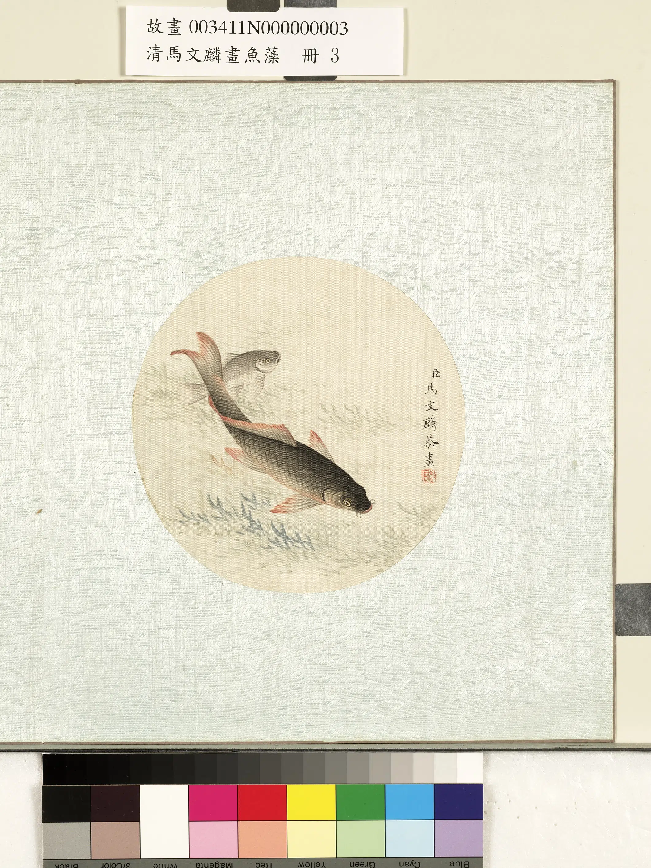 清代【马文麟】《画鱼藻册-鲤鱼-1》