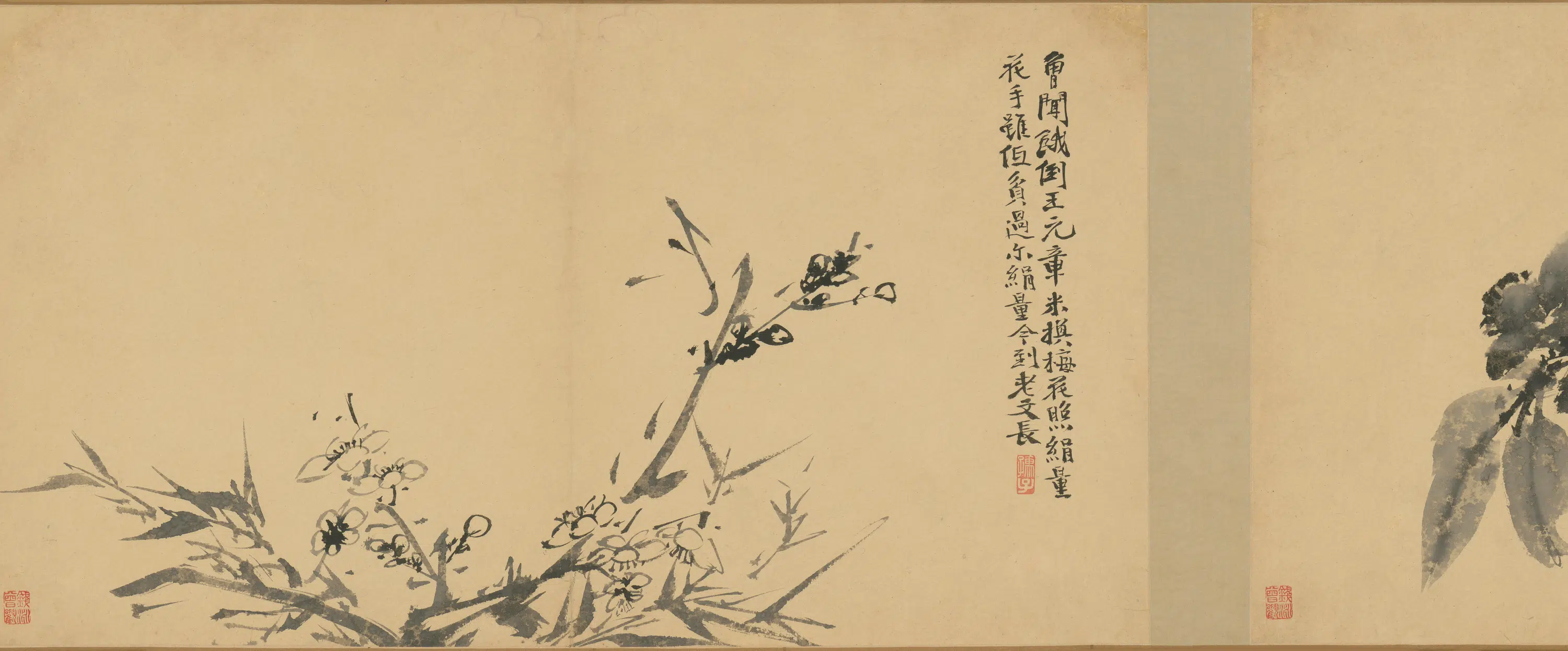 明朝【徐渭】《墨花卷》 第32张