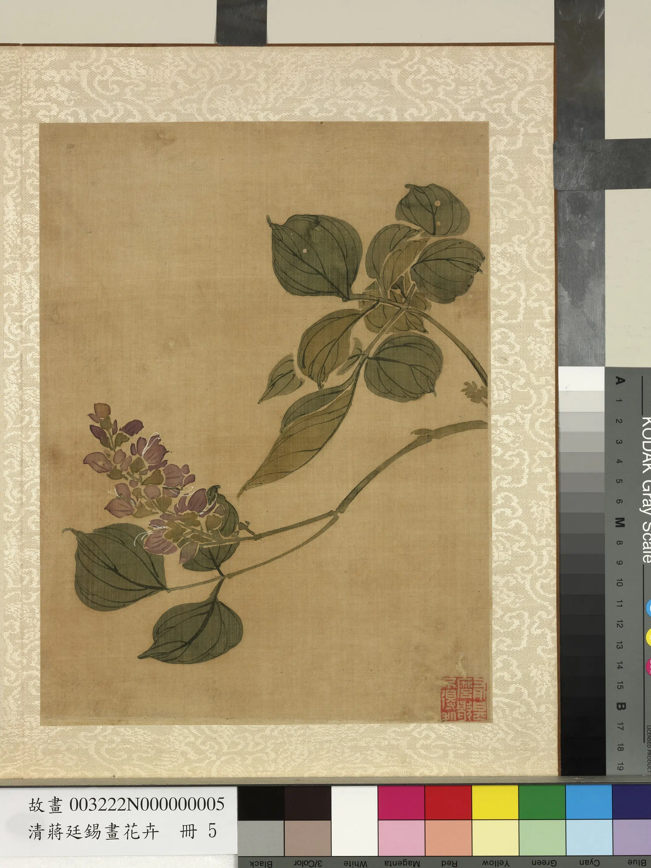 清代【蒋廷锡】《画花卉册-紫薇》