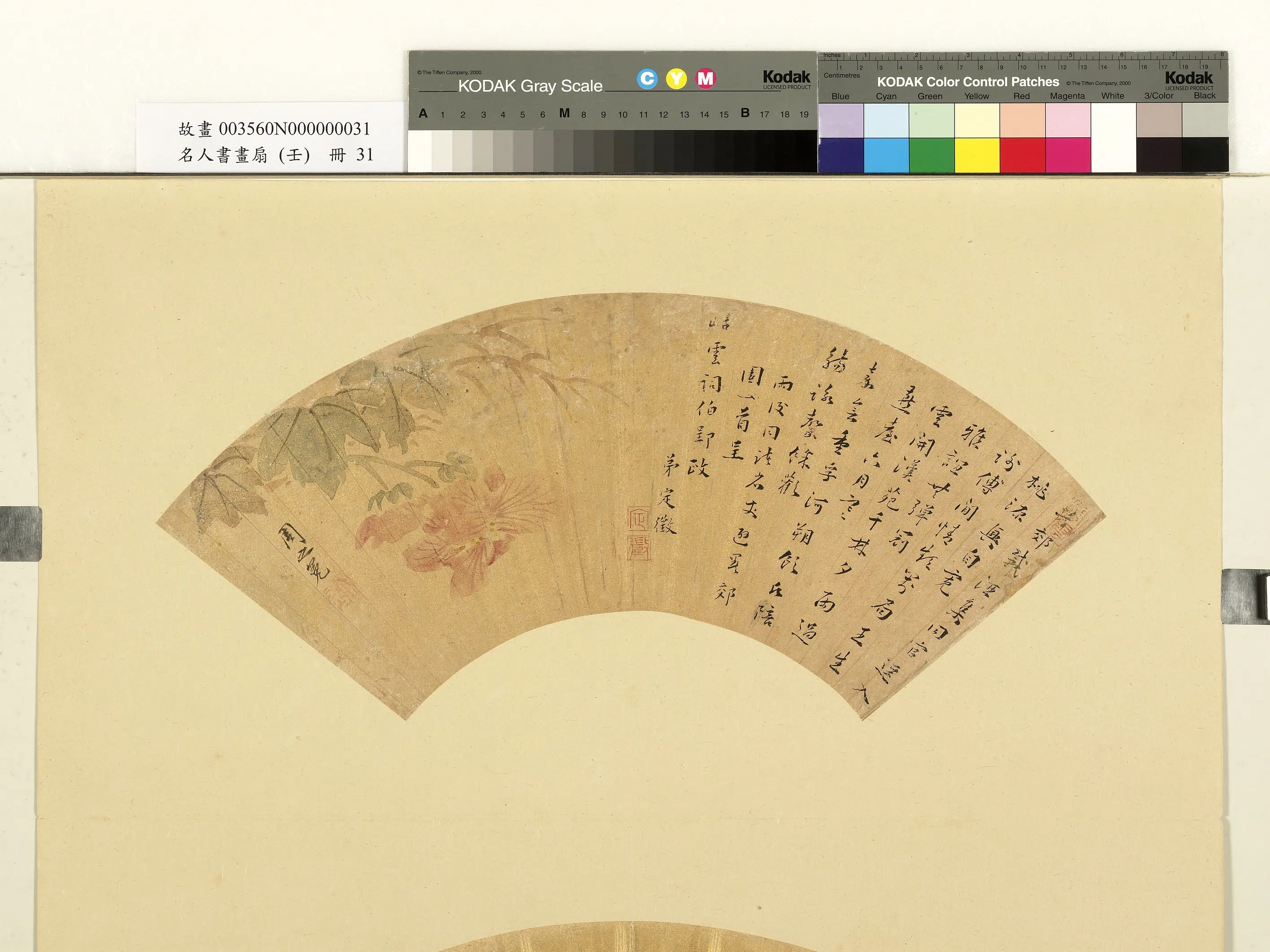 明朝【周之冕】《芙蓉图-名人书画扇（壬）册》