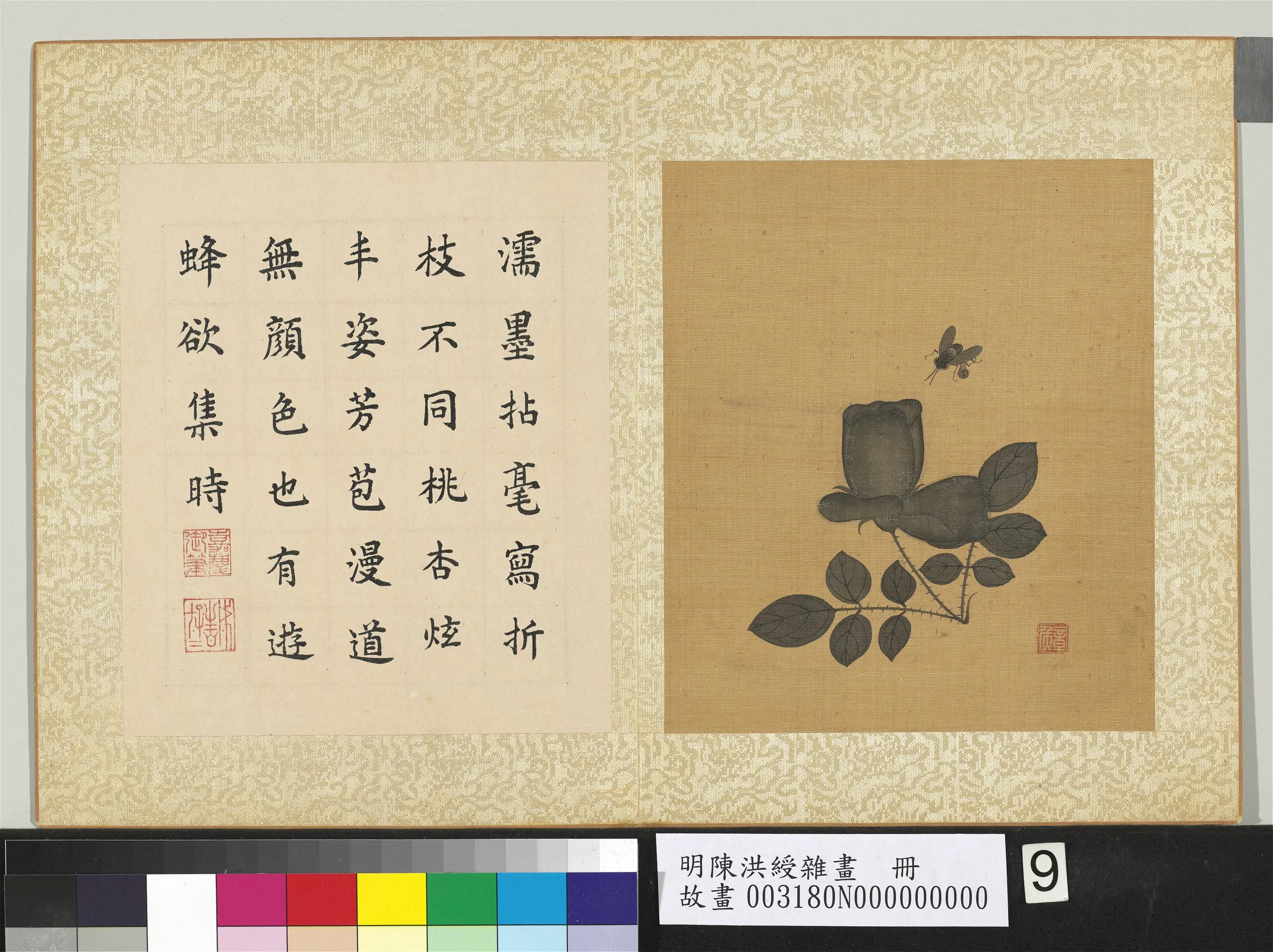 明朝【陈洪绶】《杂画册-蔷薇》