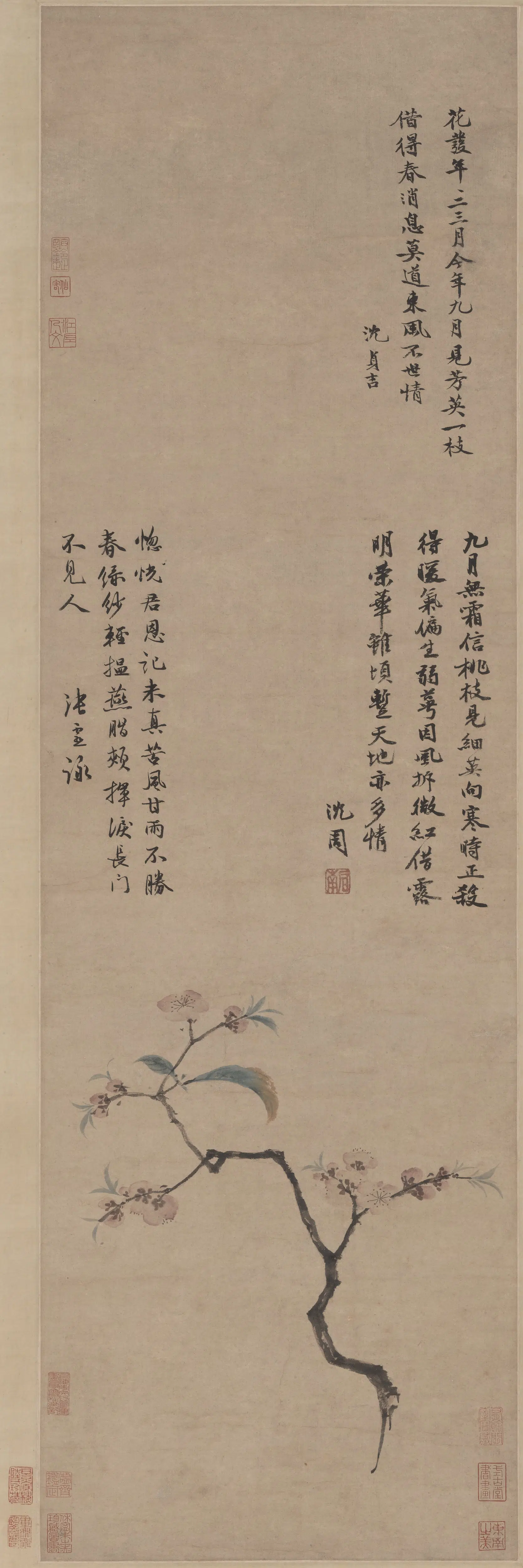 明朝【沈周】《九月桃花图轴》