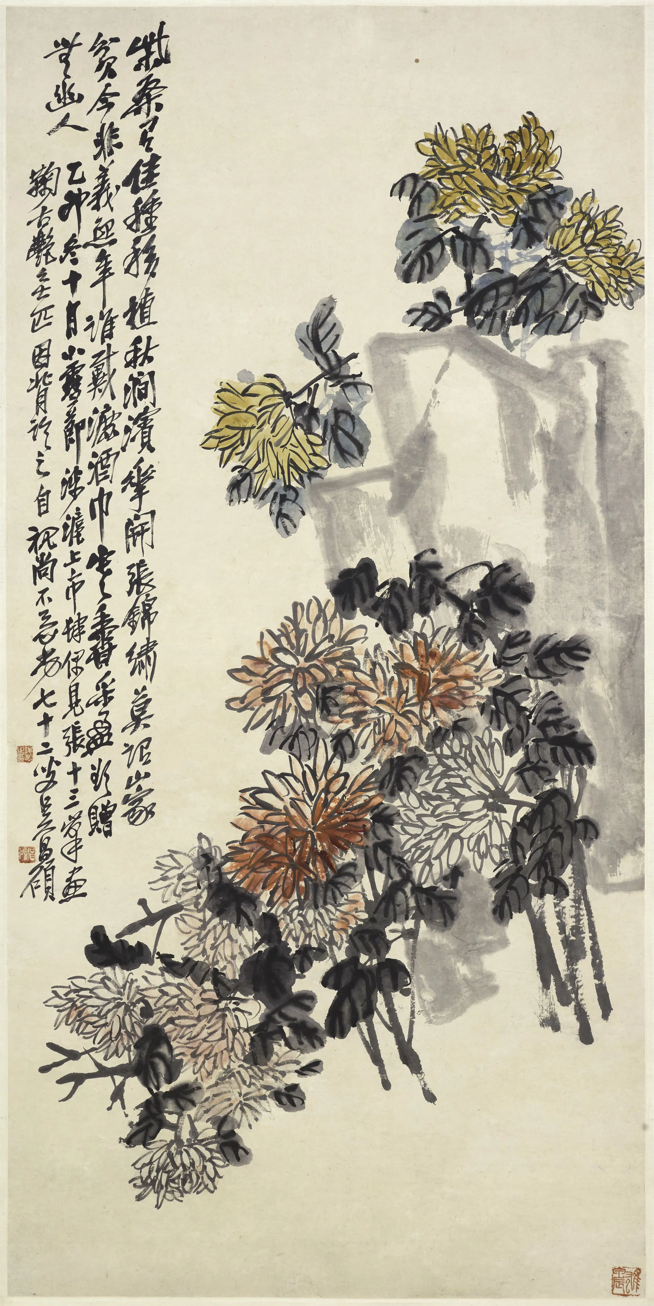 清代【吴昌硕】《菊花轴》