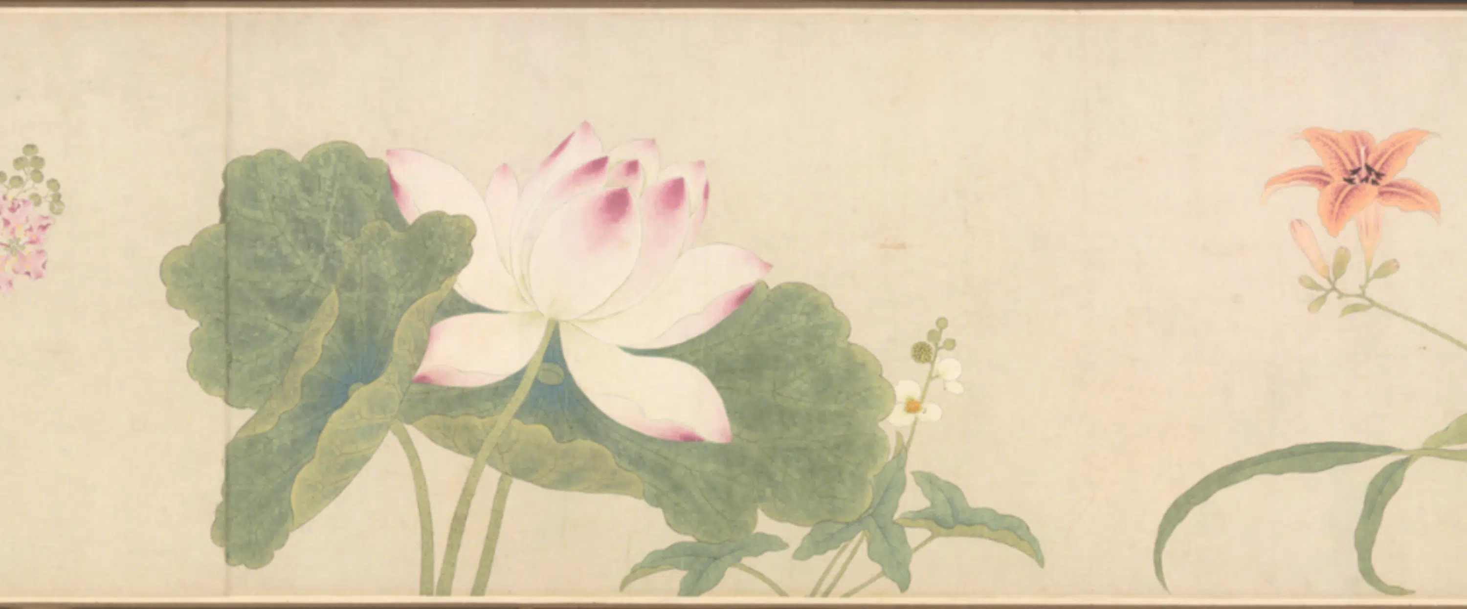 清代【朱昶】《花卉图卷》 第2张