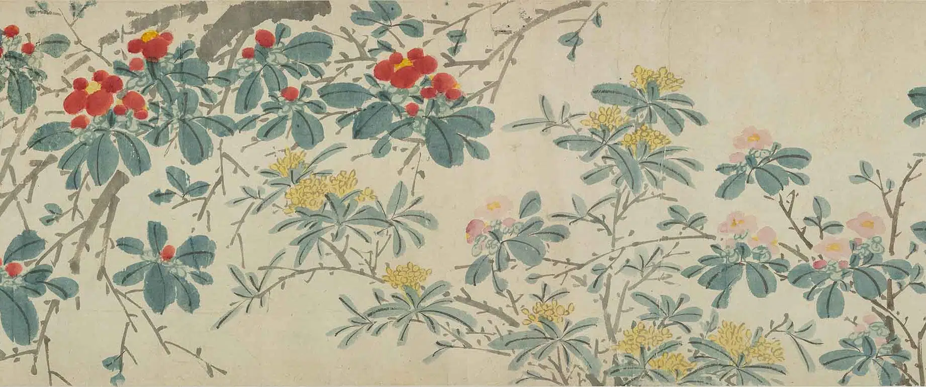 明朝【陈淳（道复）】《四季花卉卷》 第14张